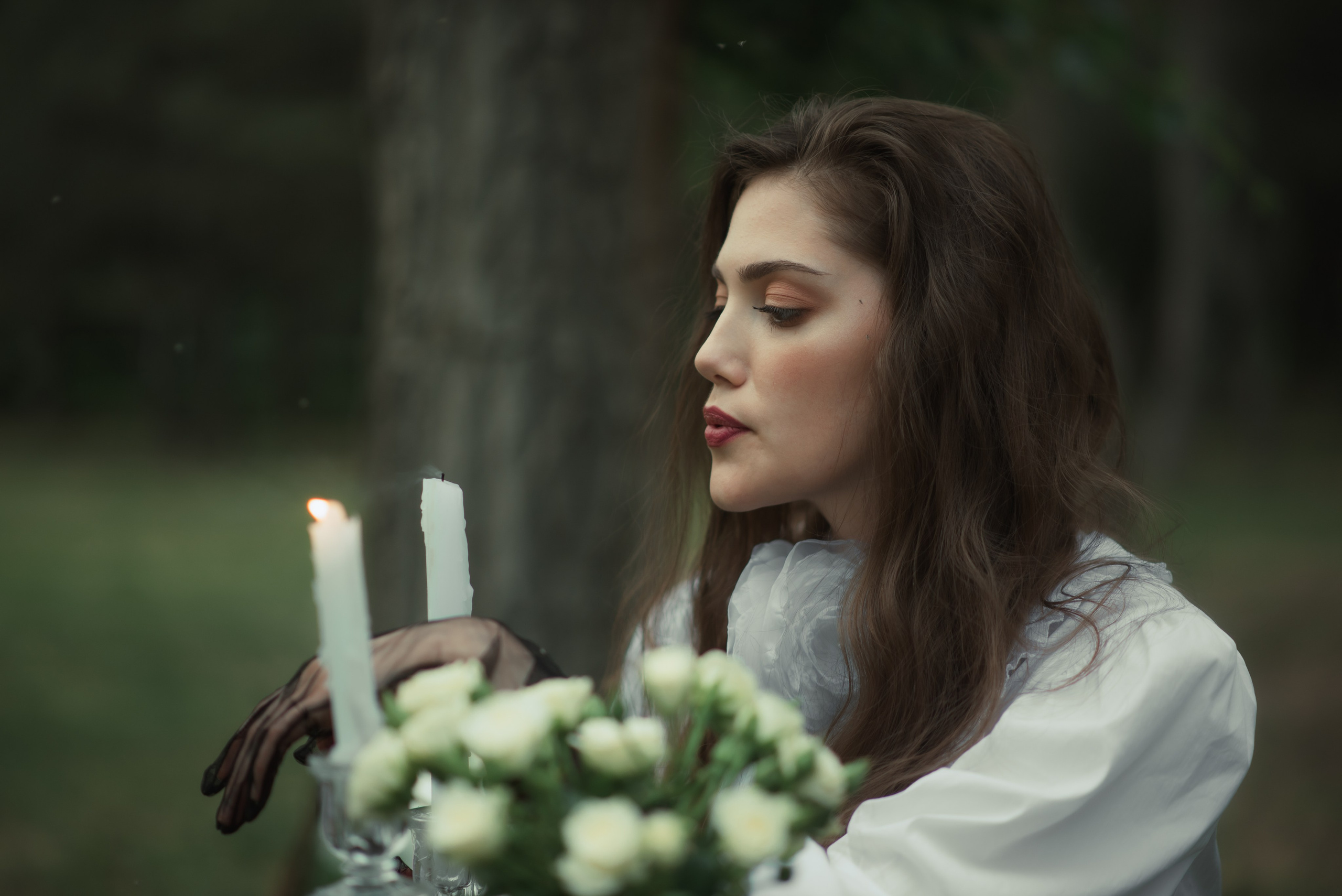 Сказочная аристократия. Главная