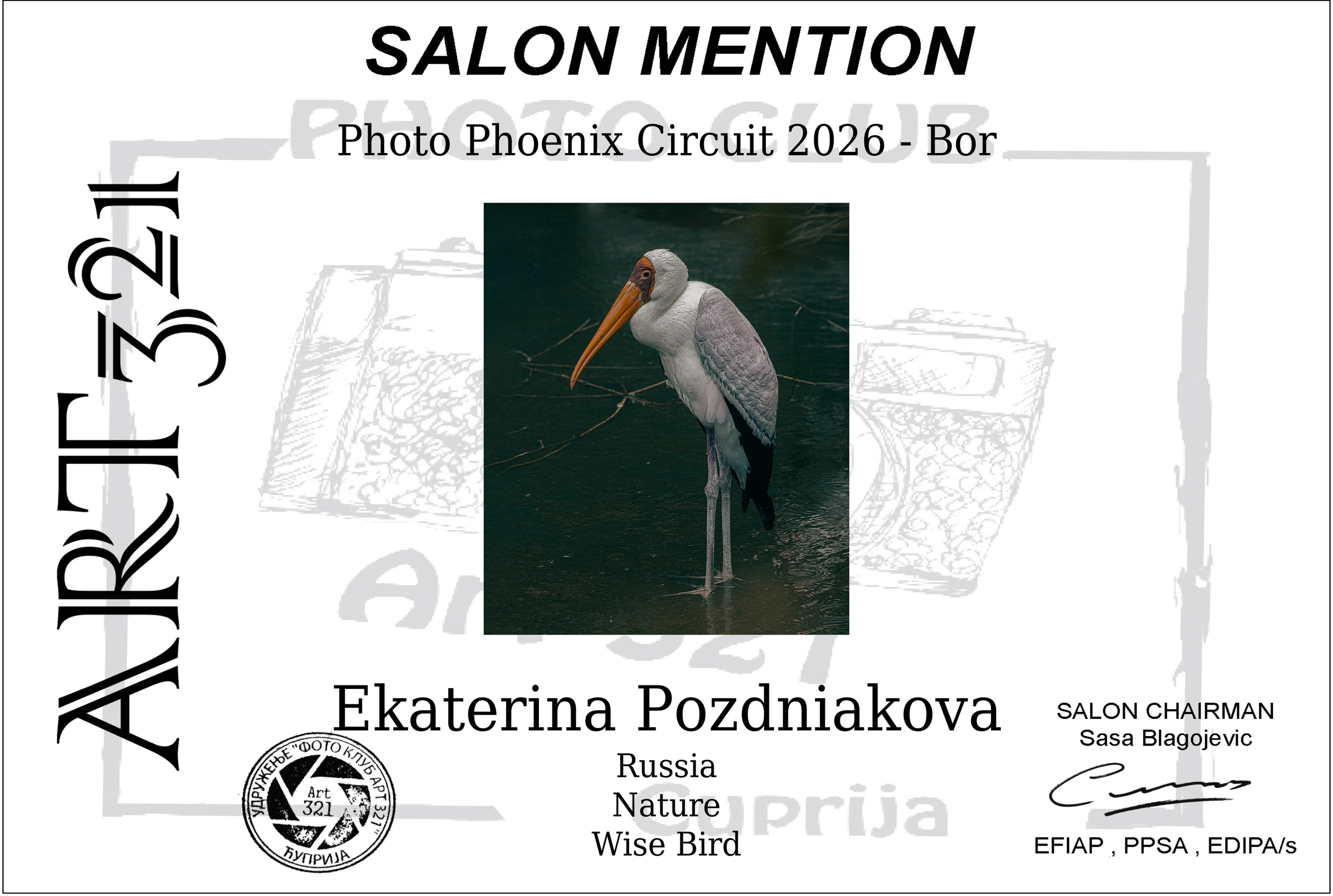 Photo Phoenix Circuit 2026 FIAP. Art Рhotographer Russia/Moscow