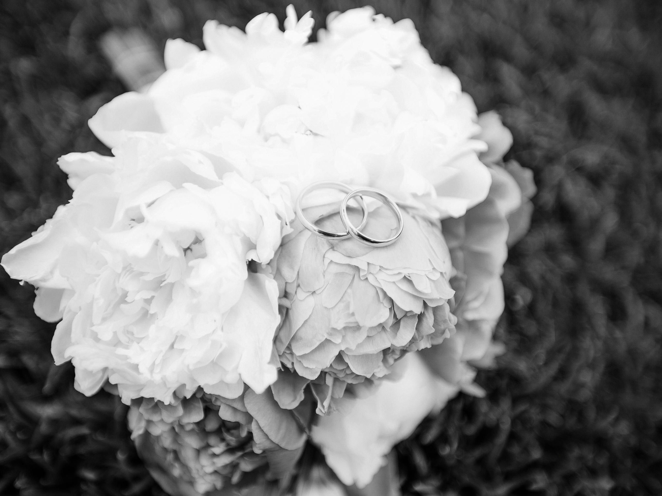 Катя&Женя Москва ❤️. Фотограф в Санкт Петербурге и Москве Анастасия Сиволод