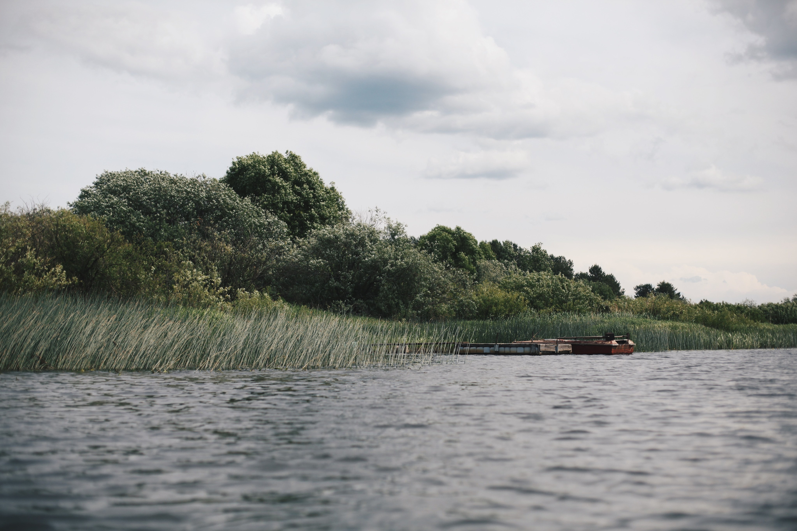 Река МИРА. Ксения Плотникова