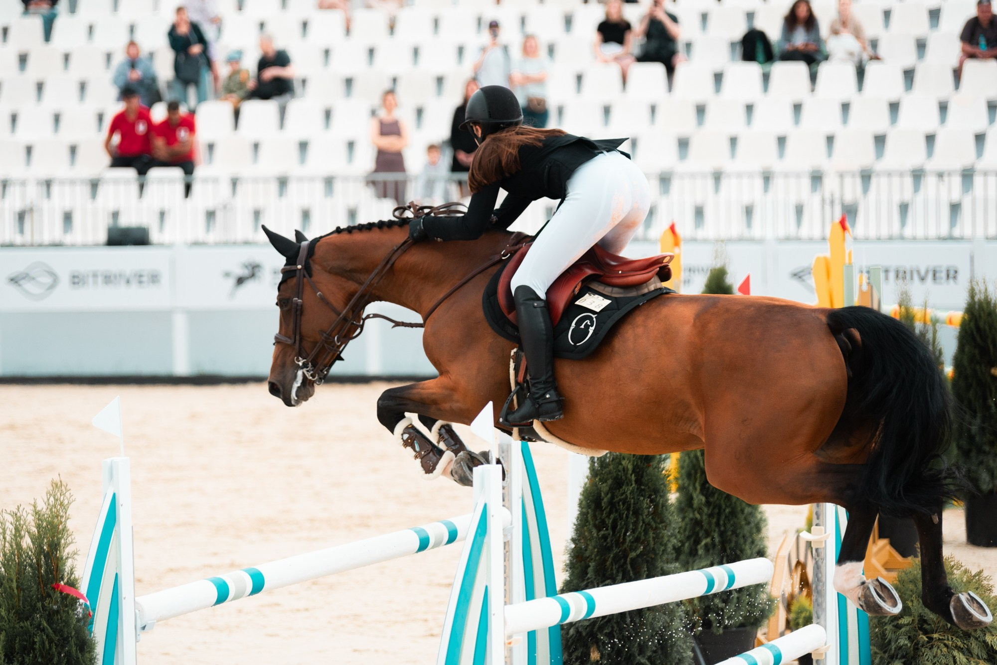 BITRIVER CUP 2023. Конный фотограф Куракина Дарья • Фотосессии с лошадьми