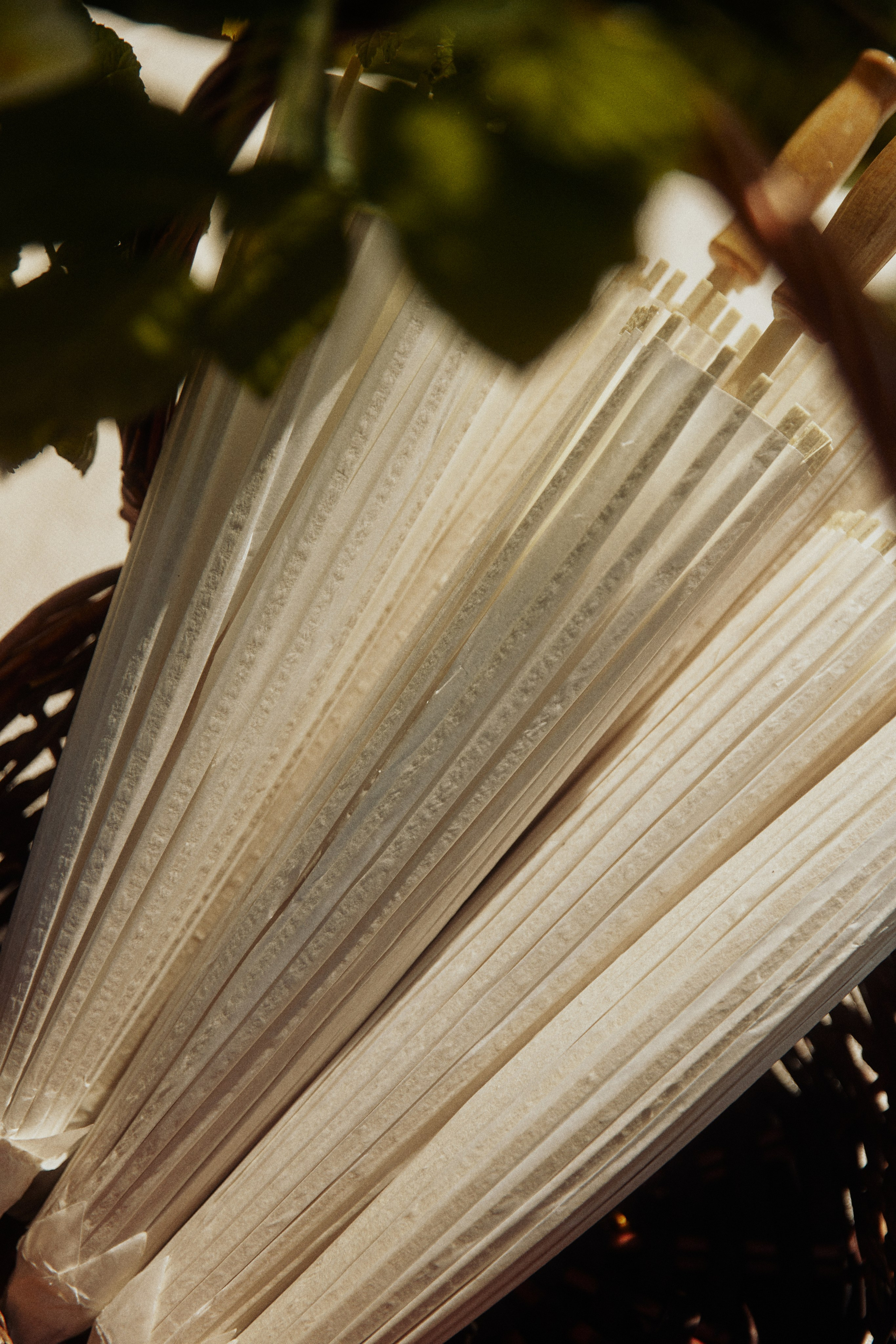 THE GRAND BUDAPEST. Дмитрий Мазуркевич: Профессиональный Репортажный Фотограф