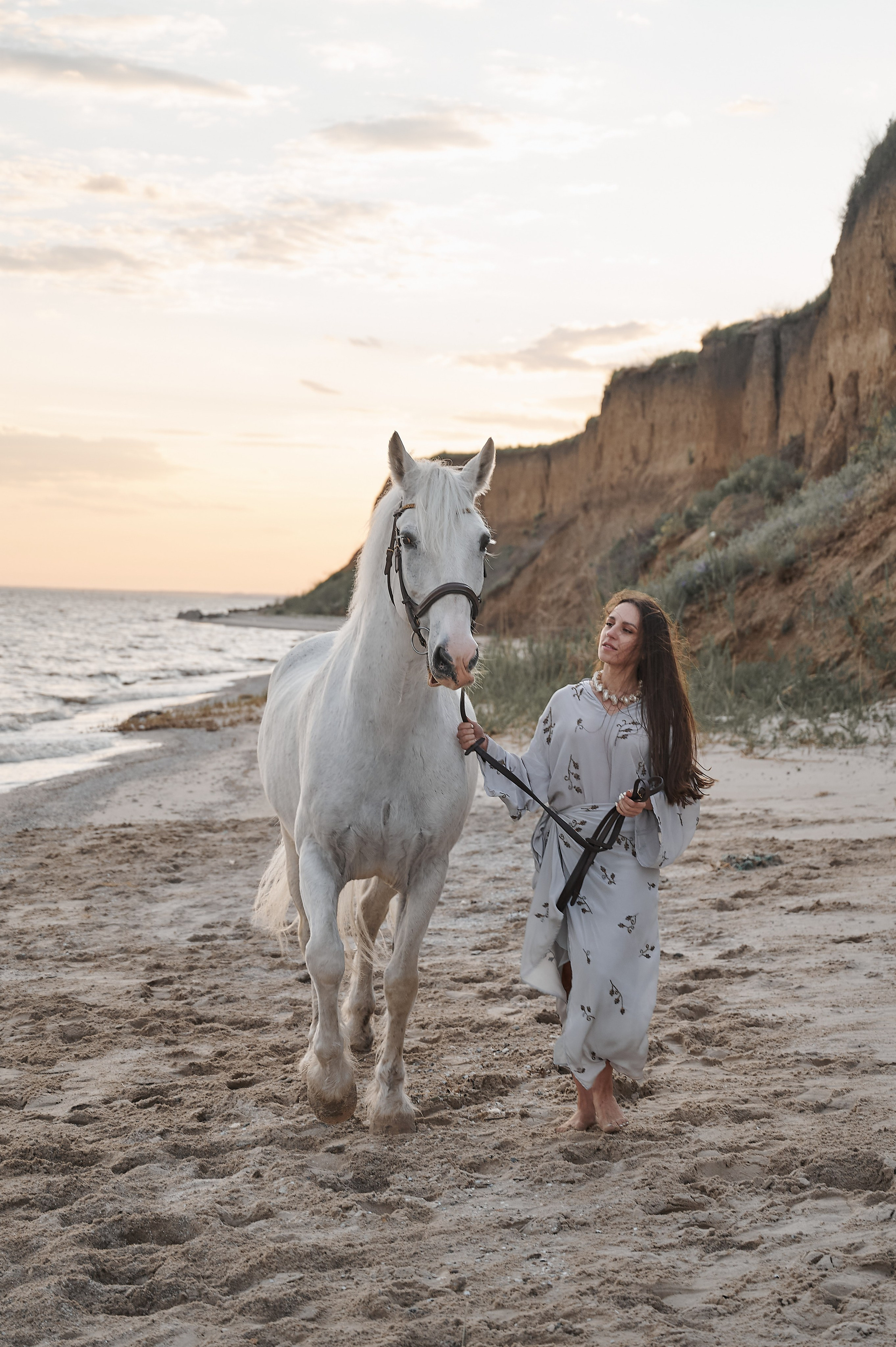 Цирковой конь Гефазт. Катерина Дрюкова фотограф/видеограф