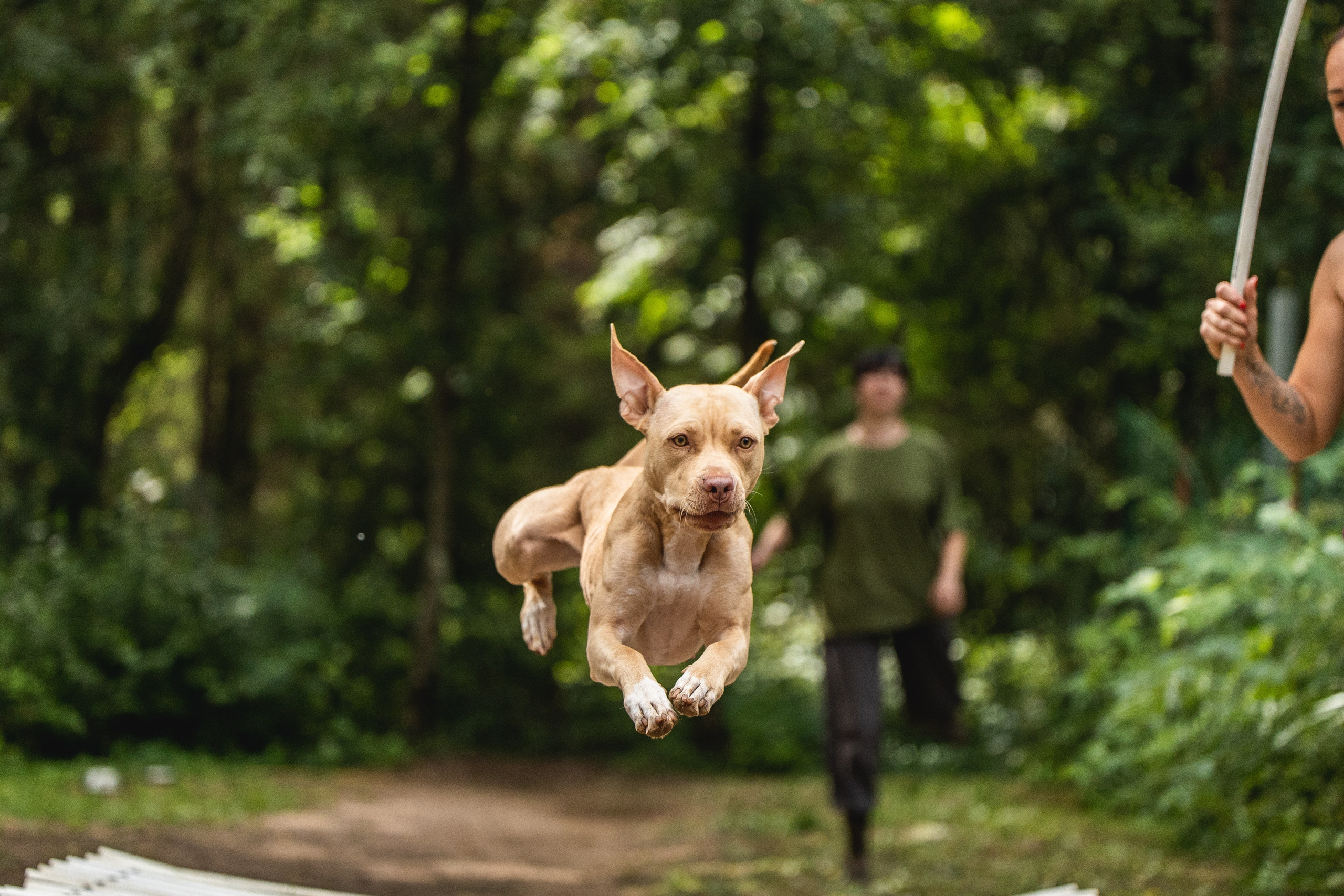 Питстафф-многоборье. Фотограф для людей и их питомцев Вика Шальнева