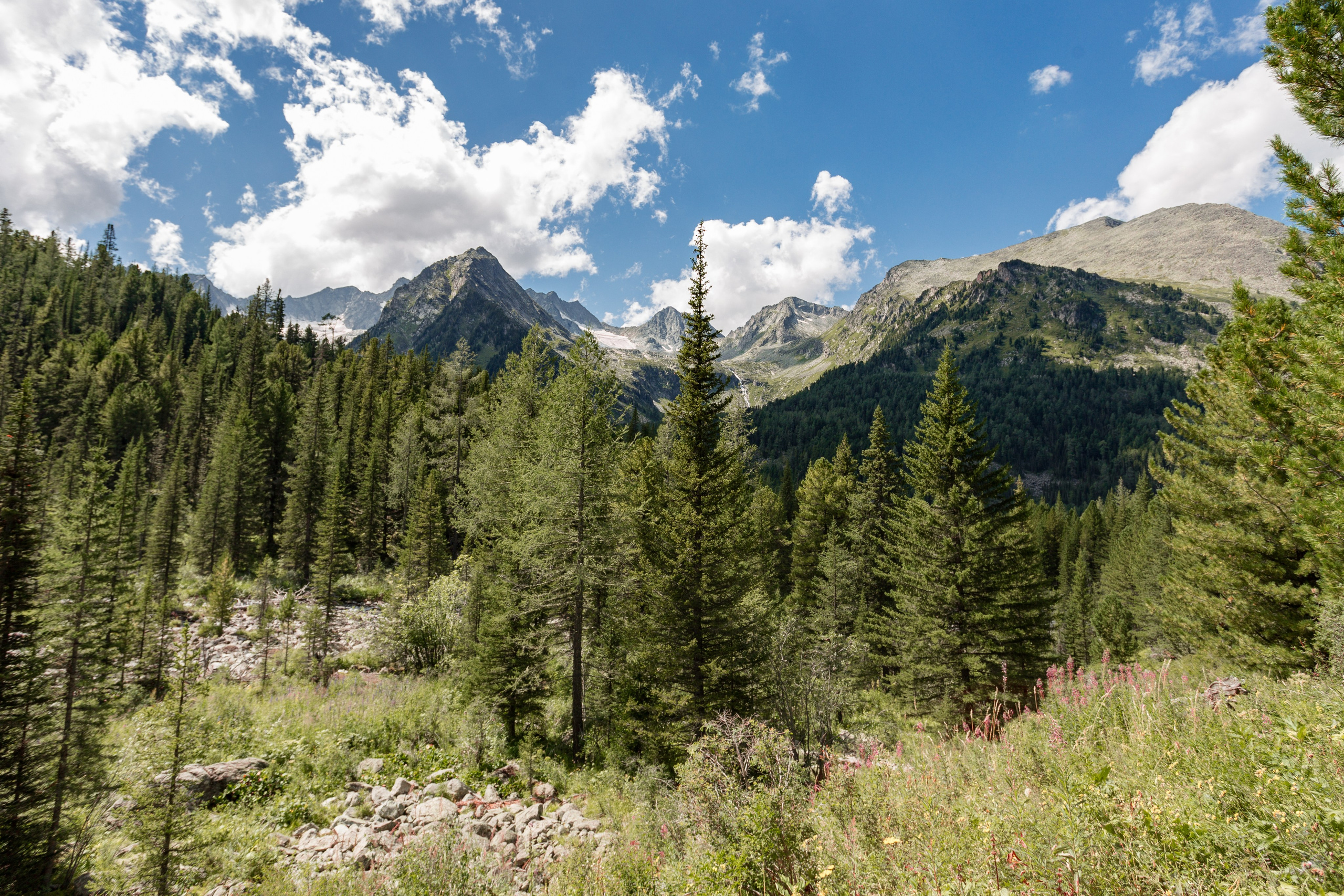 Катунский заповедник, Республика Алтай. Репортажный фотограф в Крыму Ксения Гасица