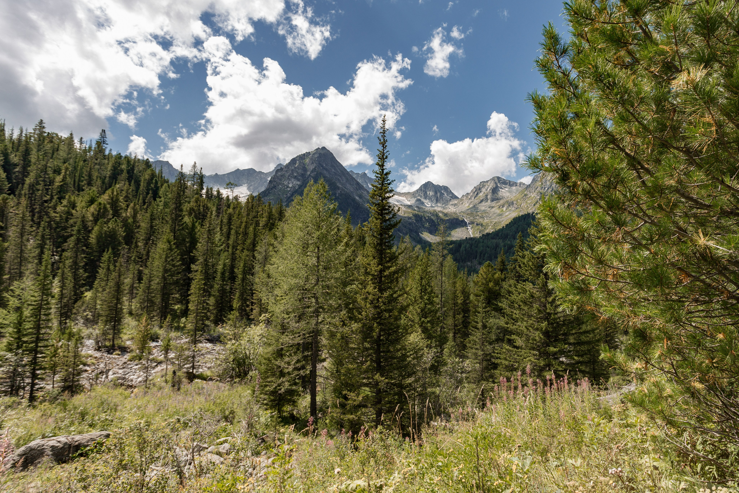 Катунский заповедник, Республика Алтай. Репортажный фотограф в Крыму Ксения Гасица