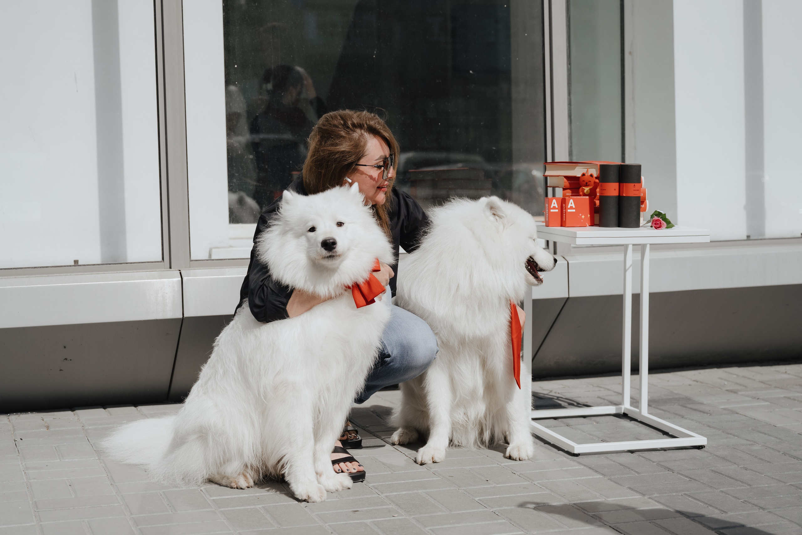 Альфа банк Карла Маркса 55. Фотограф Кристина Тумаева. Самоед Новосибирск