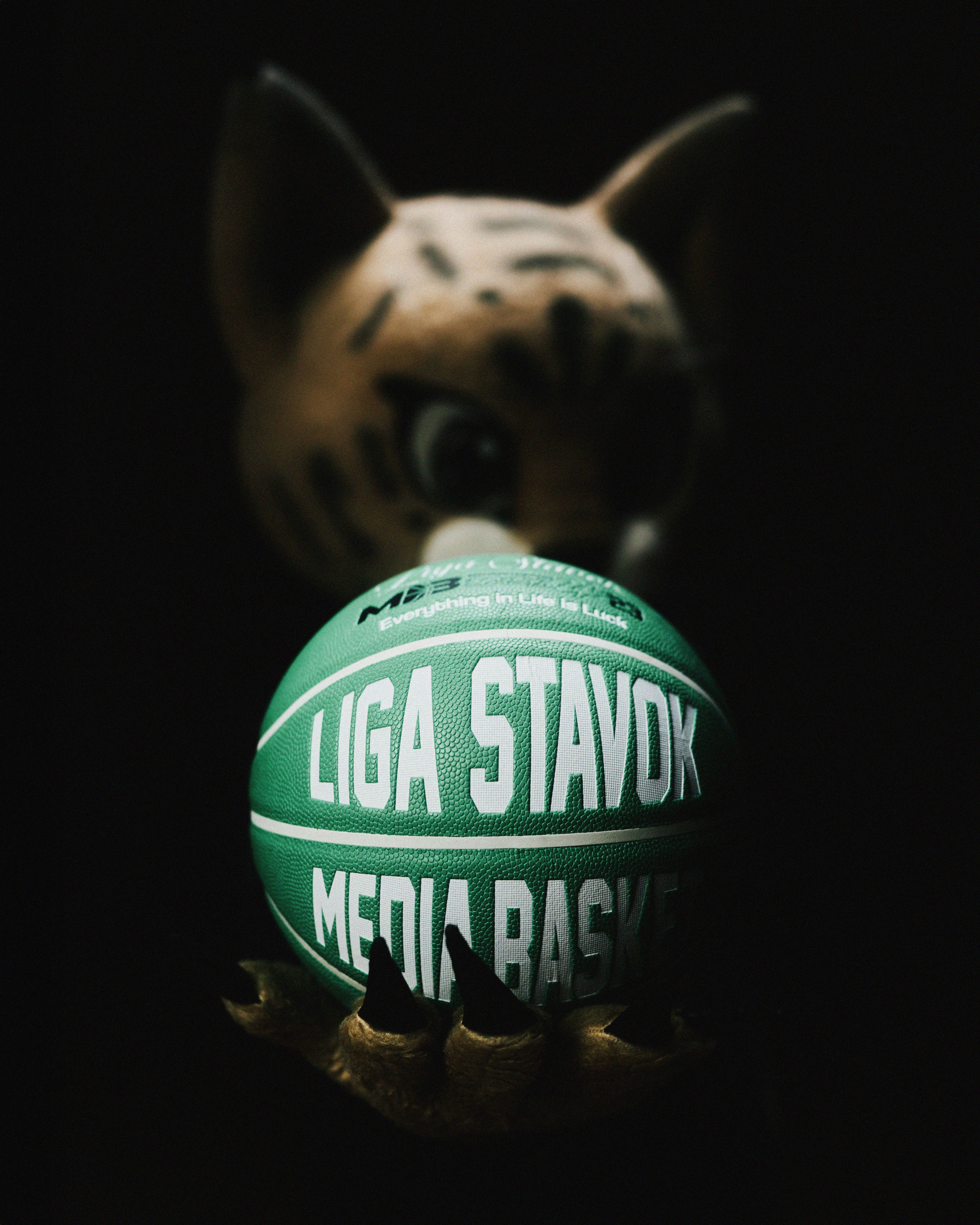 КОММЕРЦИЯ. ALEXANDR NOVIKOV