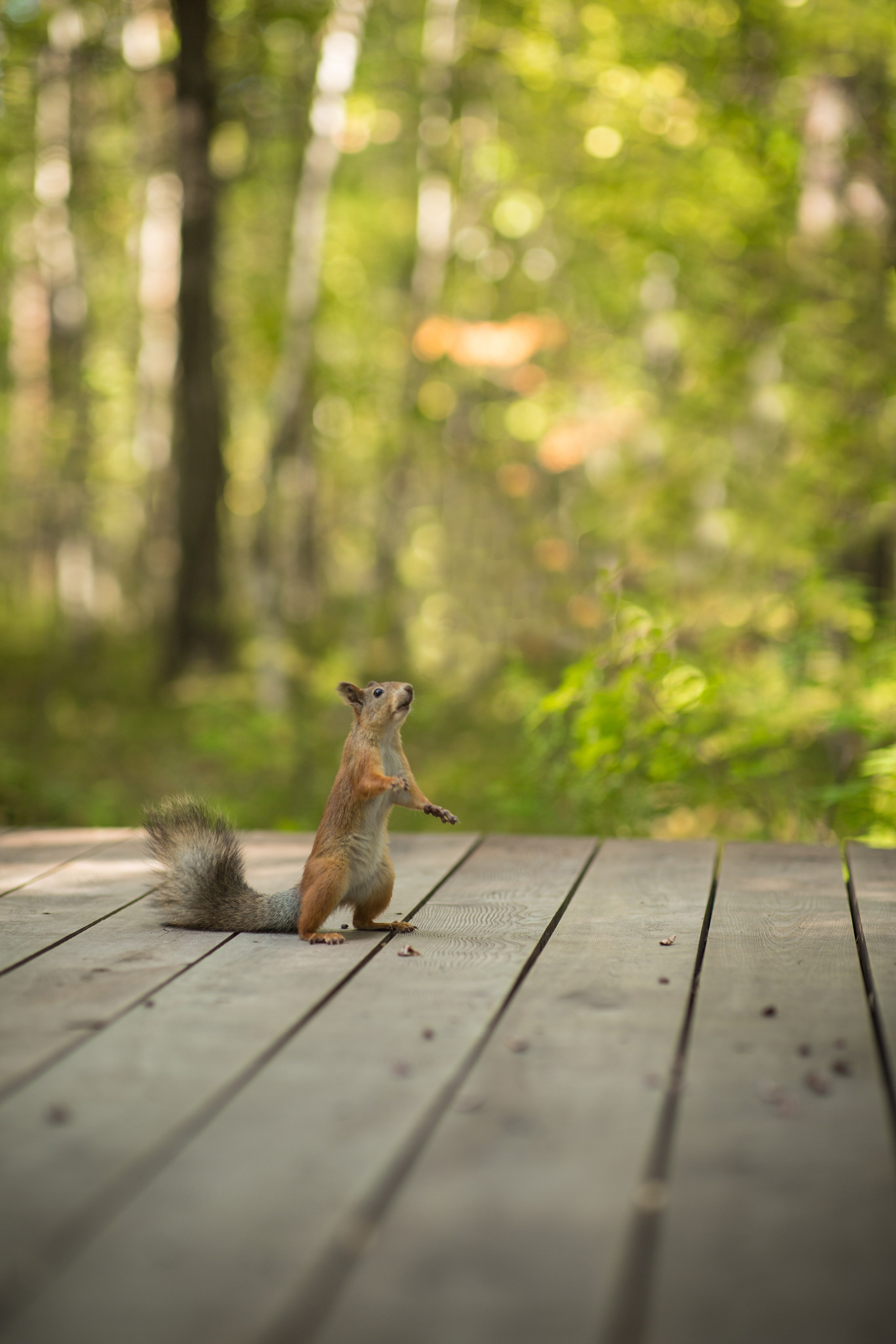 Сургут. Фотограф в г. Сургуте Марина Киприна