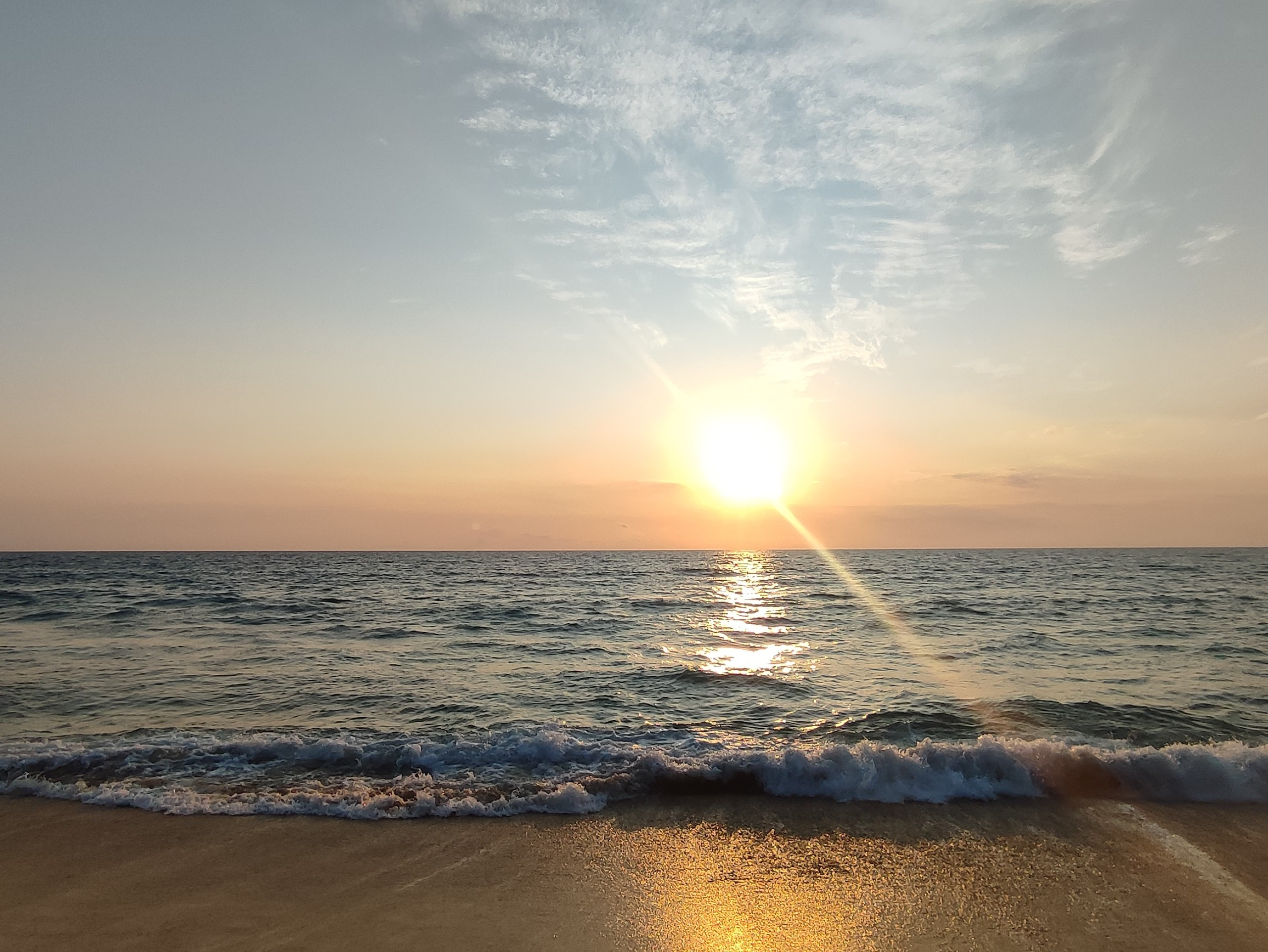 Шри-Ланка | 31.01 — 10.02.2025. Галерея Фантим