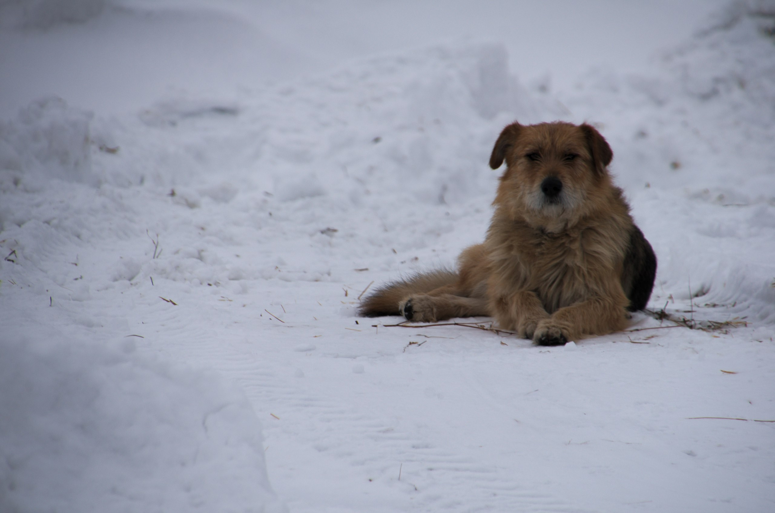 Владимир+Суздаль | 18-19.02.2017. Галерея Фантим