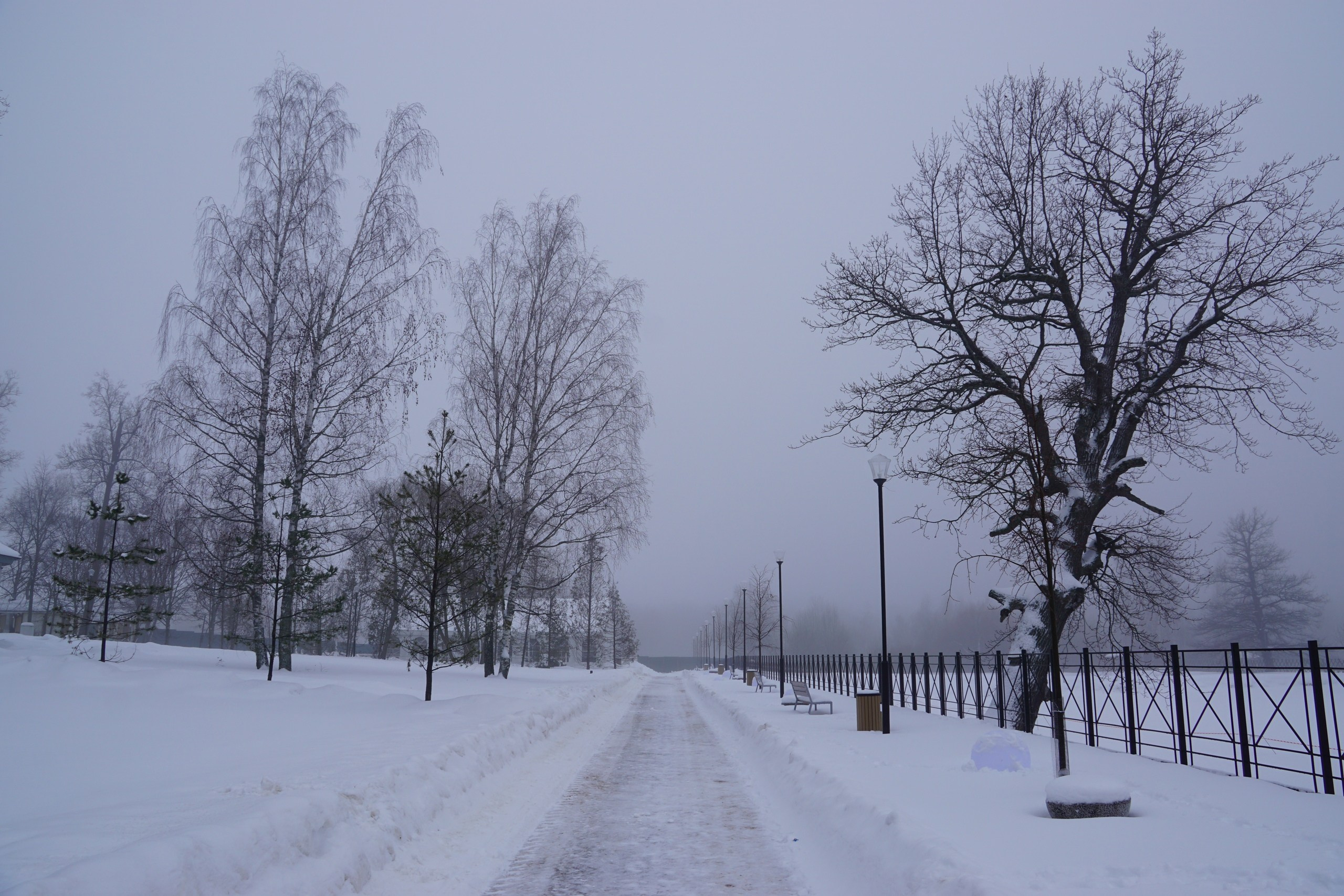 Шашлыки с ночевкой. Софрино | 23-24.01.2021. Галерея Фантим