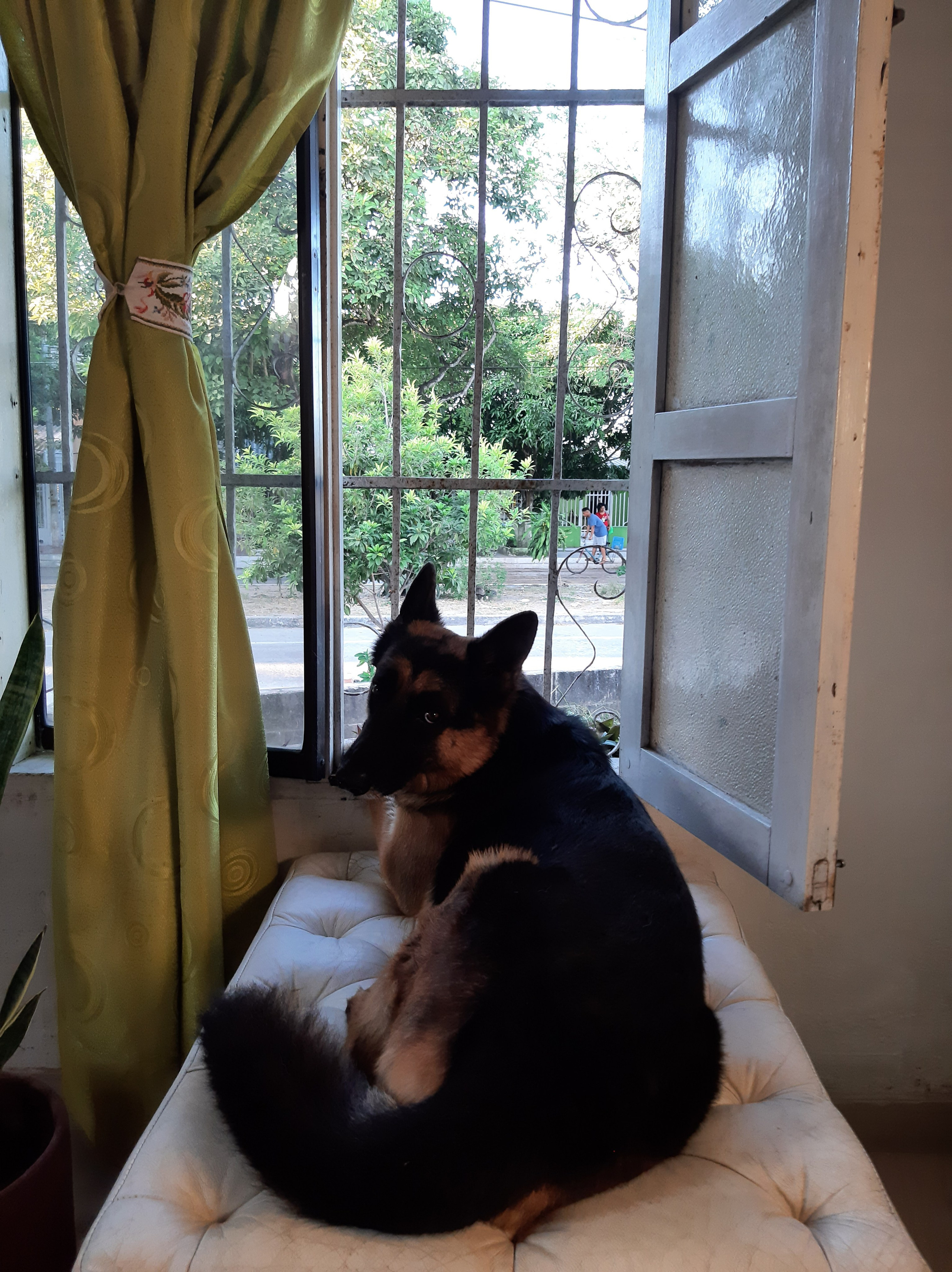 Автор: Андрес Вилья