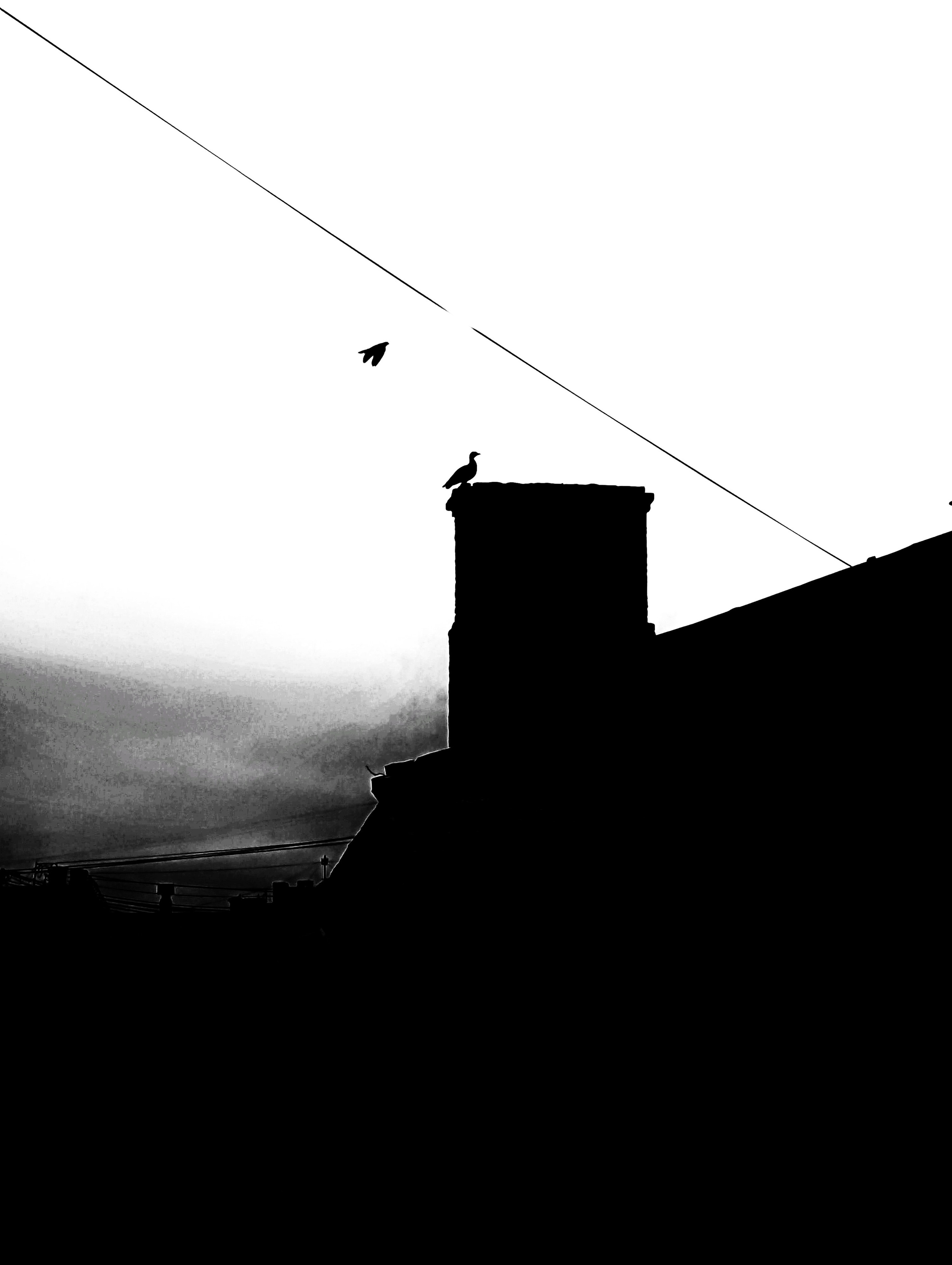 Автор: Ярослав Зинченко