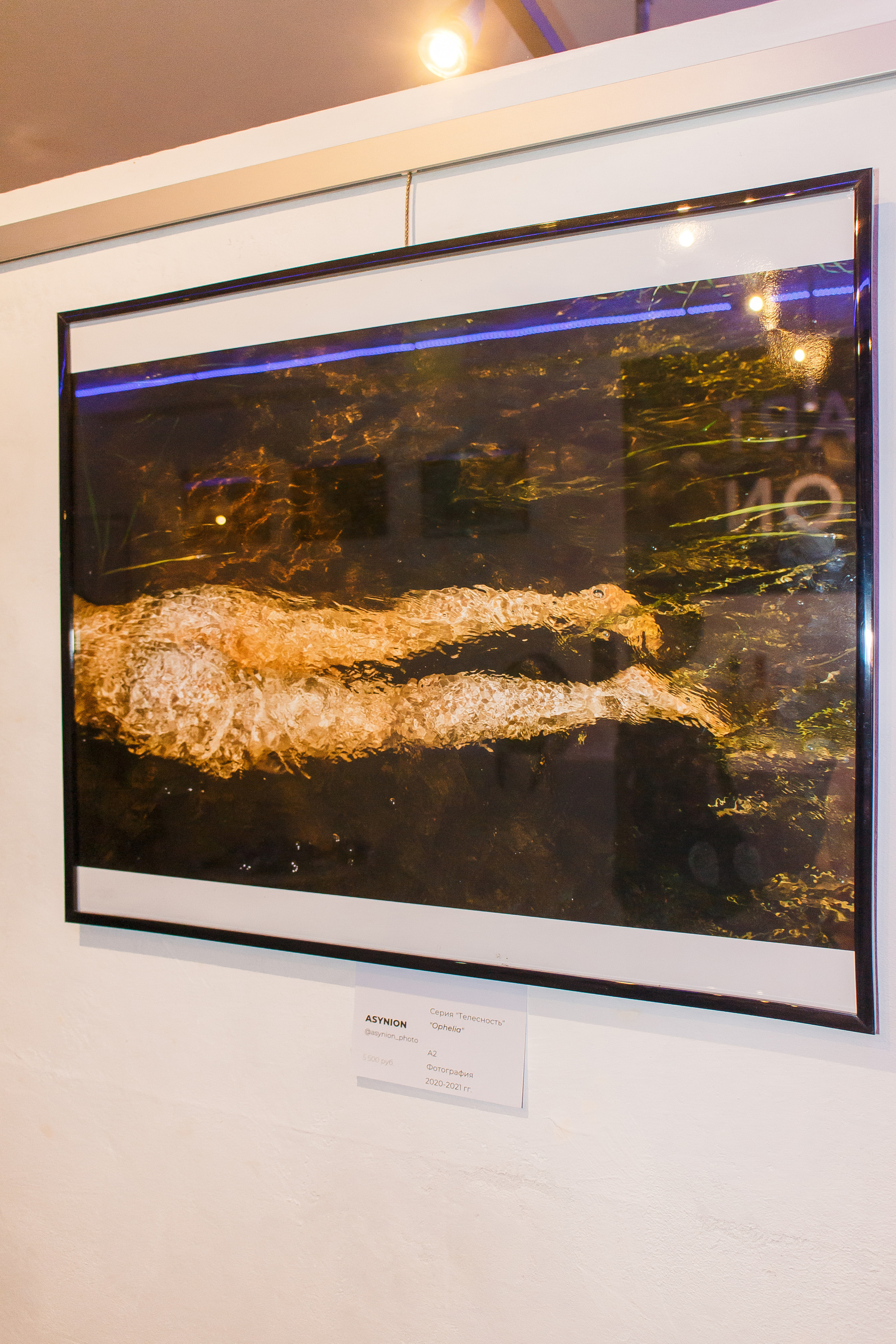 Выставки и публикации. Козлова Екатерина. Междисциплинарная визуальная художница