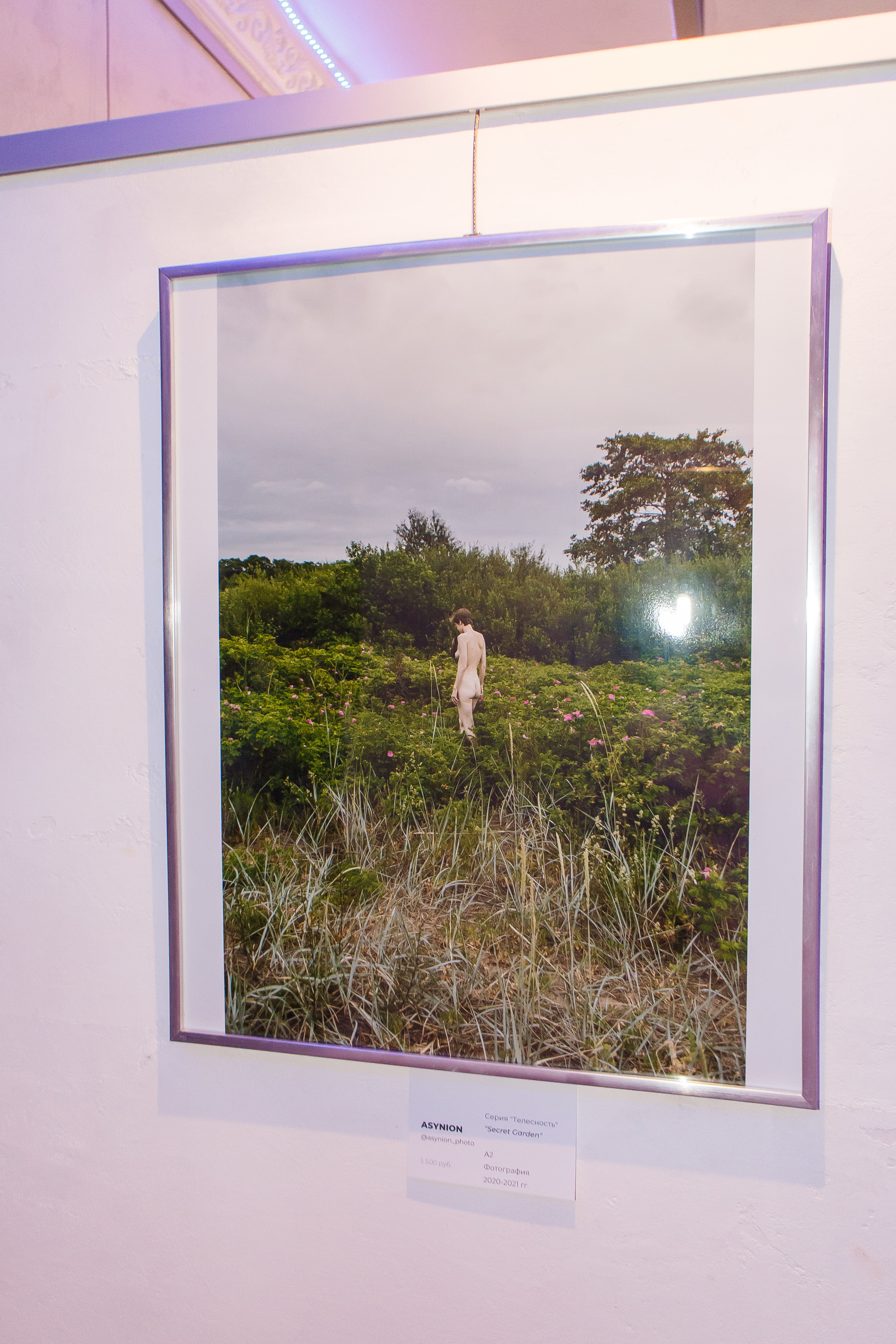 Выставки и публикации. Козлова Екатерина. Междисциплинарная визуальная художница