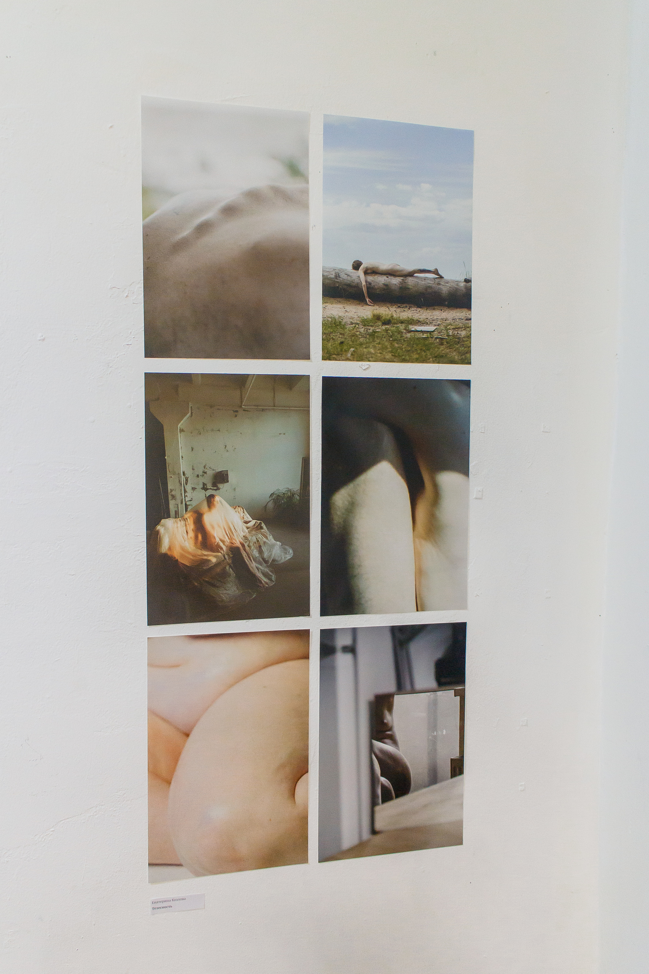 Выставки и публикации. Козлова Екатерина. Междисциплинарная визуальная художница