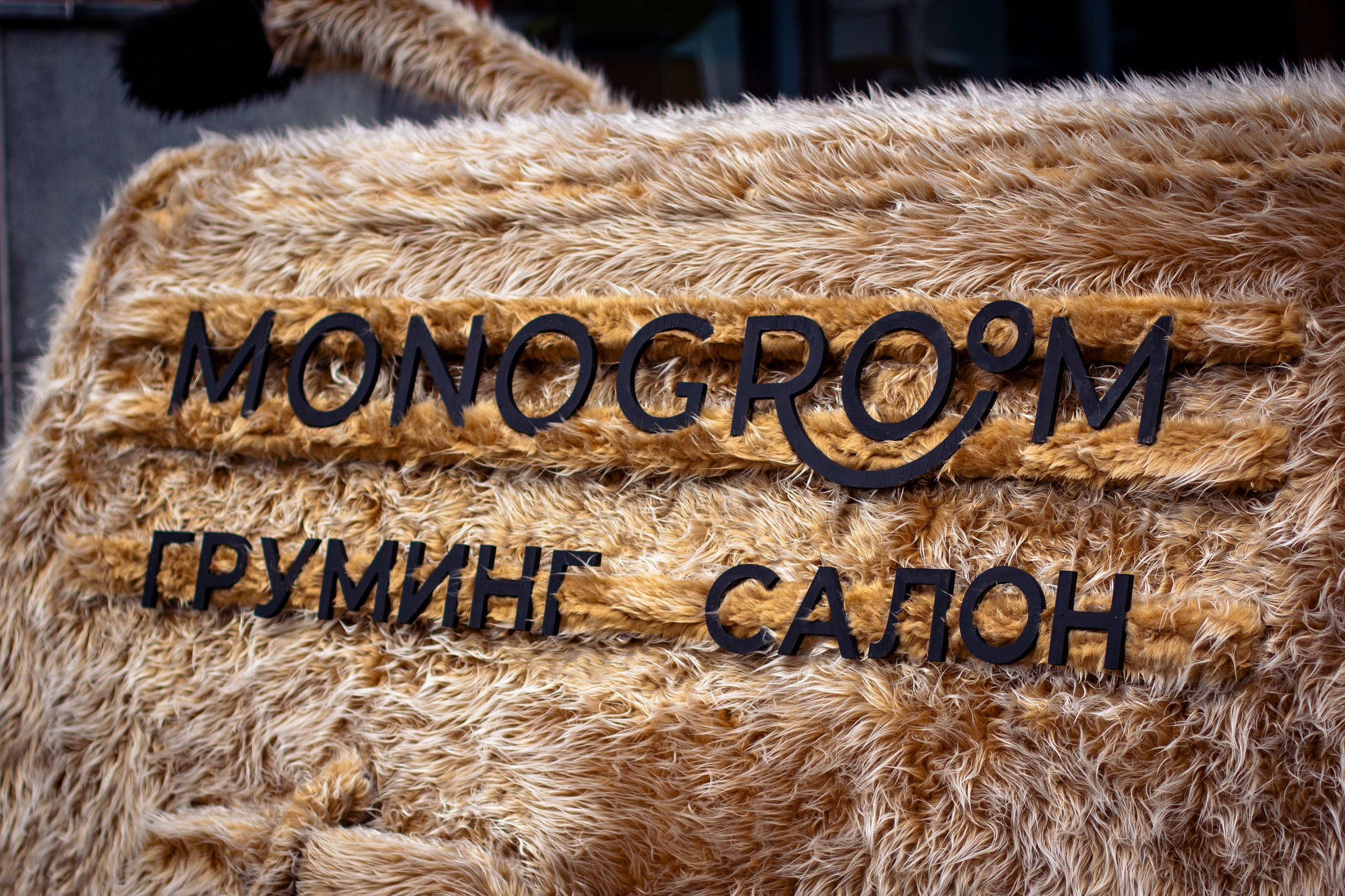 КАСТОМ КОНВЕНЦИЯ 2025. Rusty Photographer