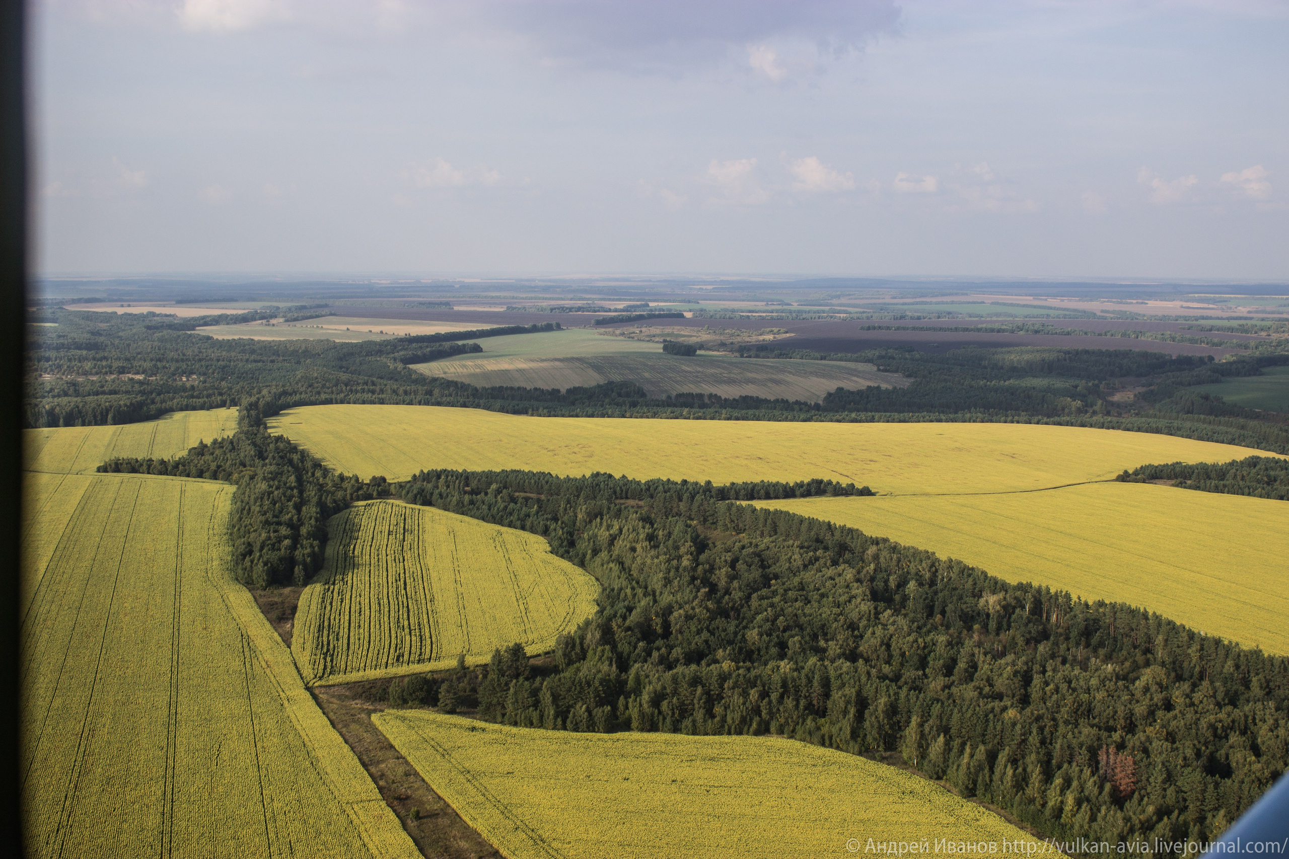 Волгодонск аэр. Потапов слёт «Небо для всех» (2021 г.). Фотоальбом показывающий увлекательный мир авиации и мир медведей Андрея Иванова