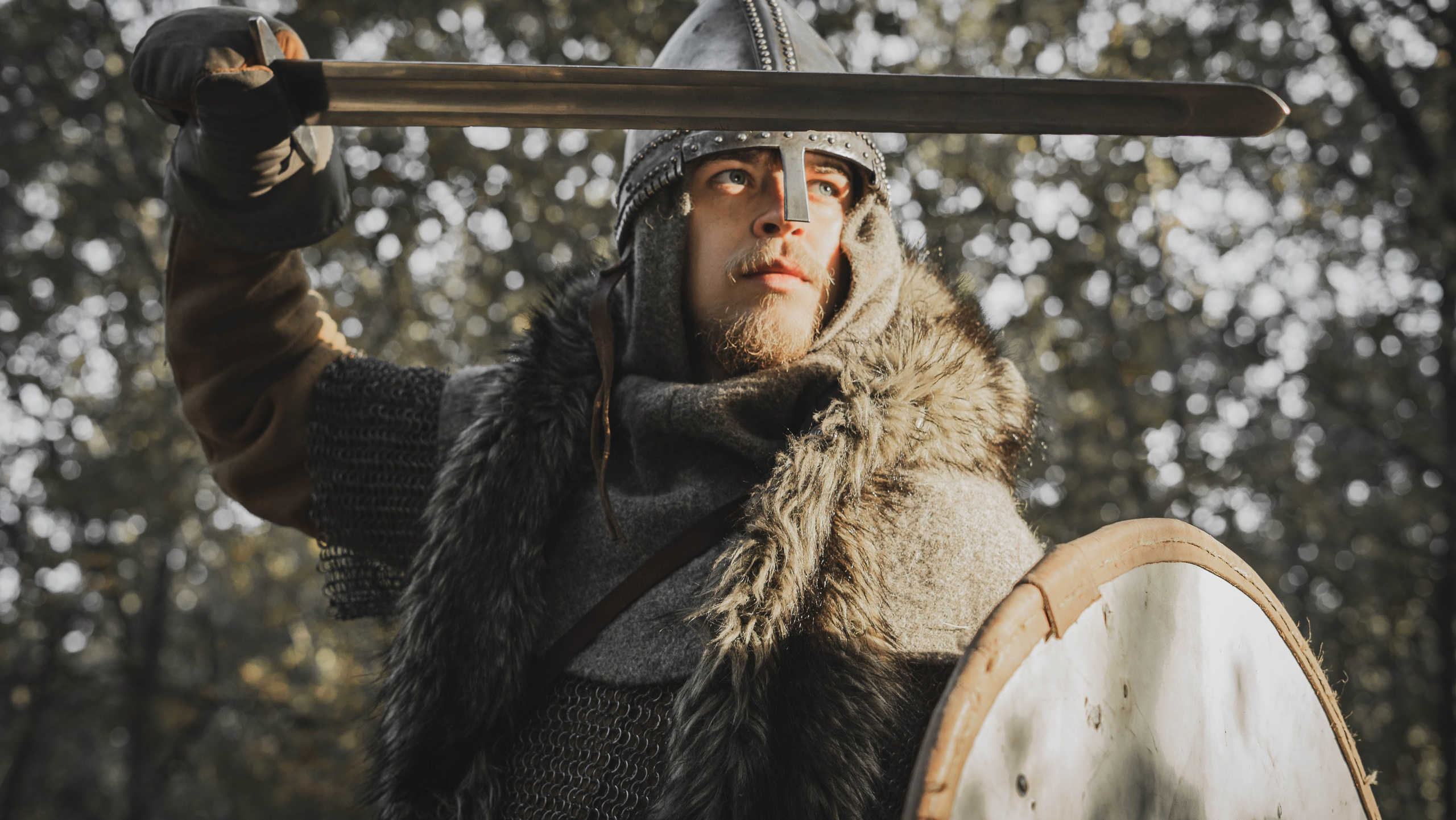 Викинг. Ab extra