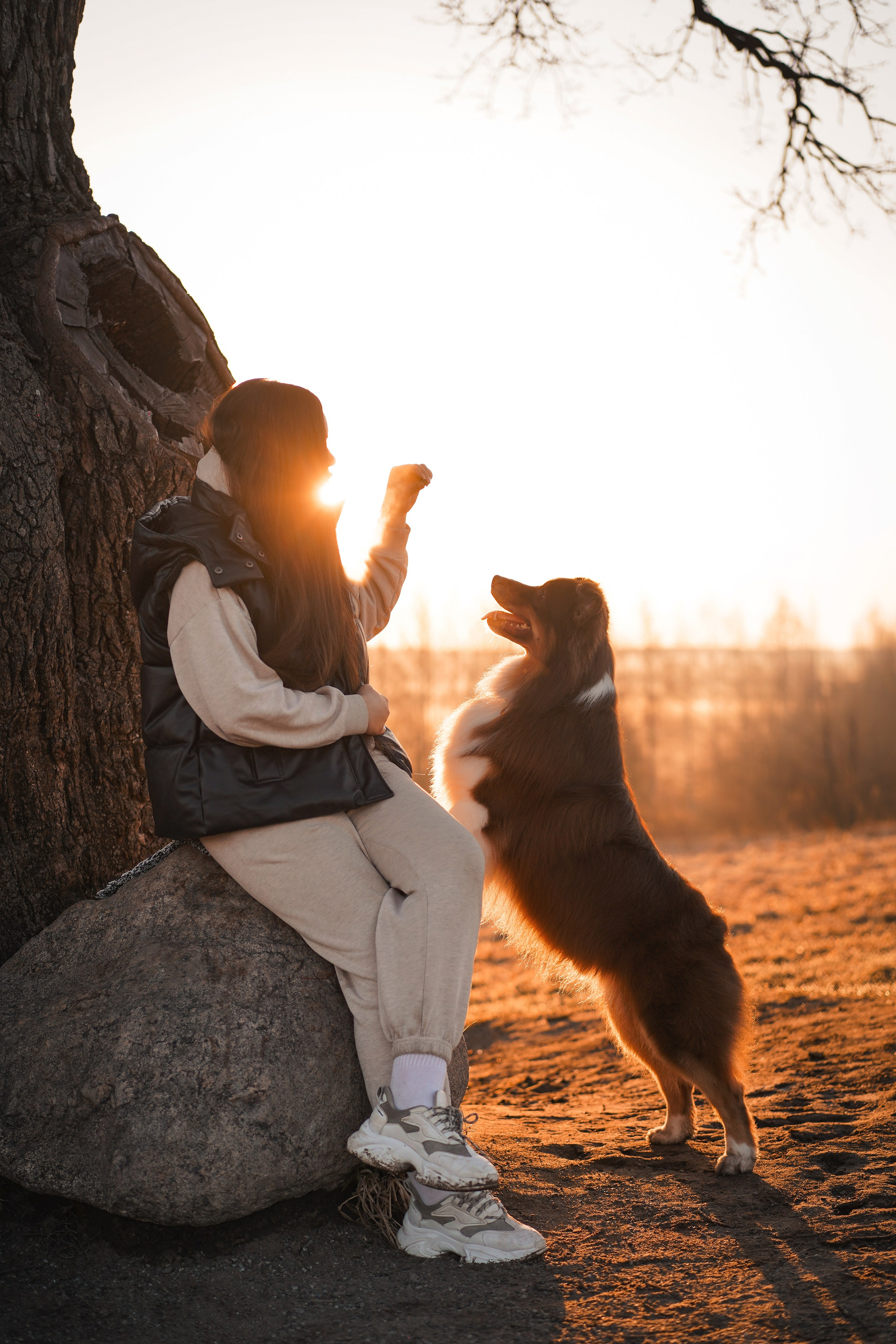 Кристина Рокки и Валькирия. Фотограф-анималист в Санкт-Петербурге Яна Мартынова