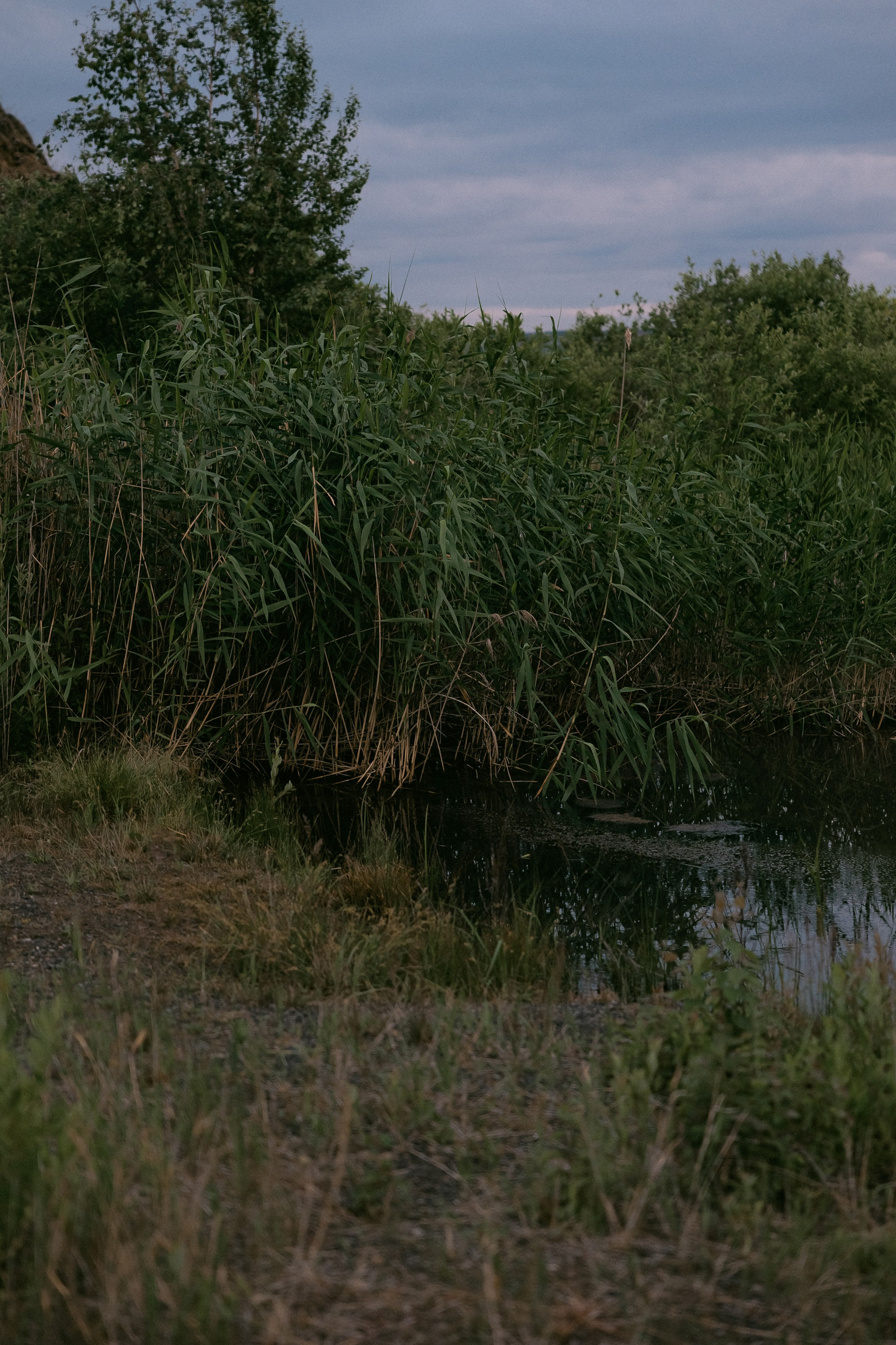 Бренд одежды ENSO. Репортажный фотограф Макс Брагин