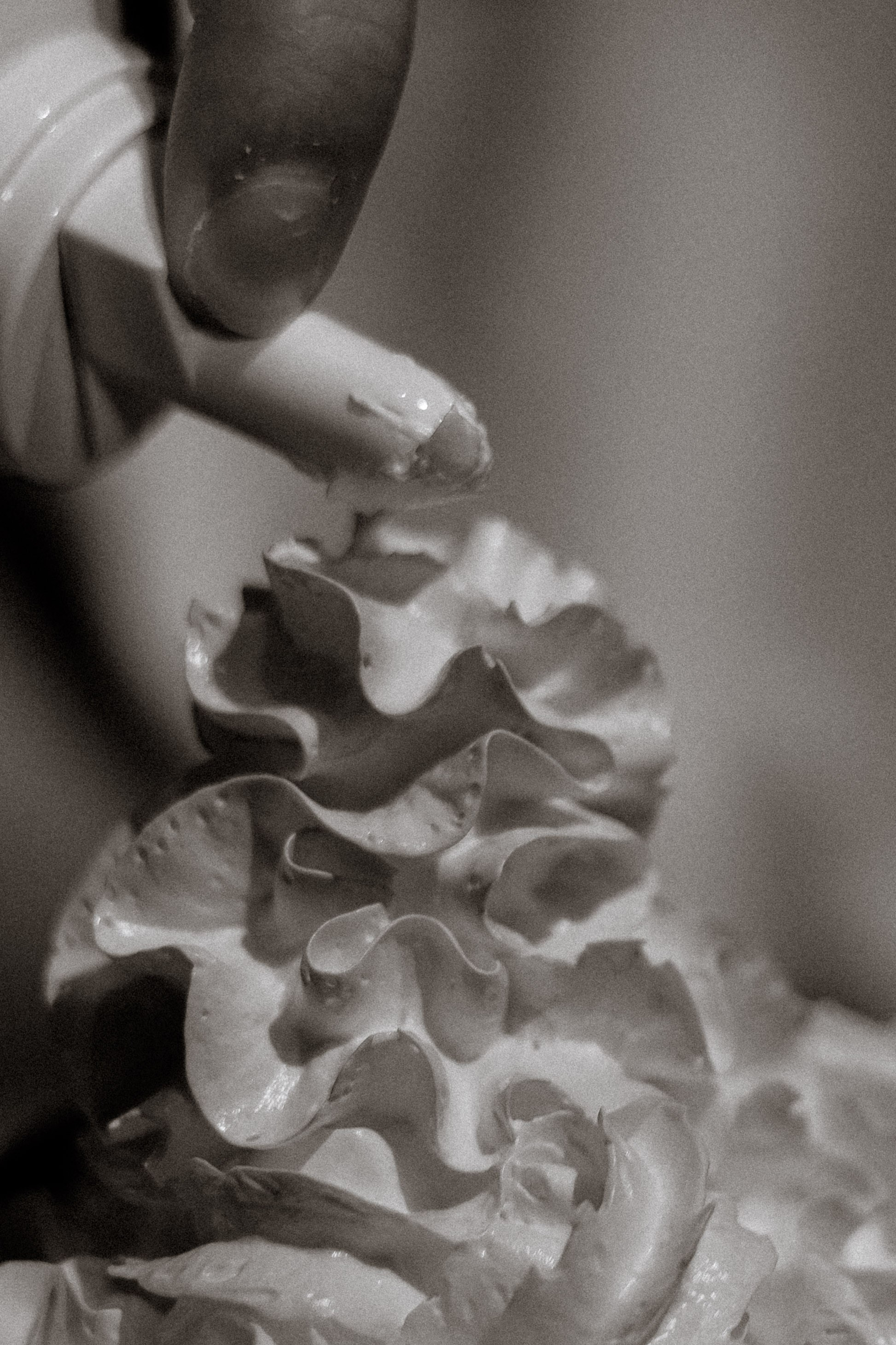 YELLOW. Кто мы?