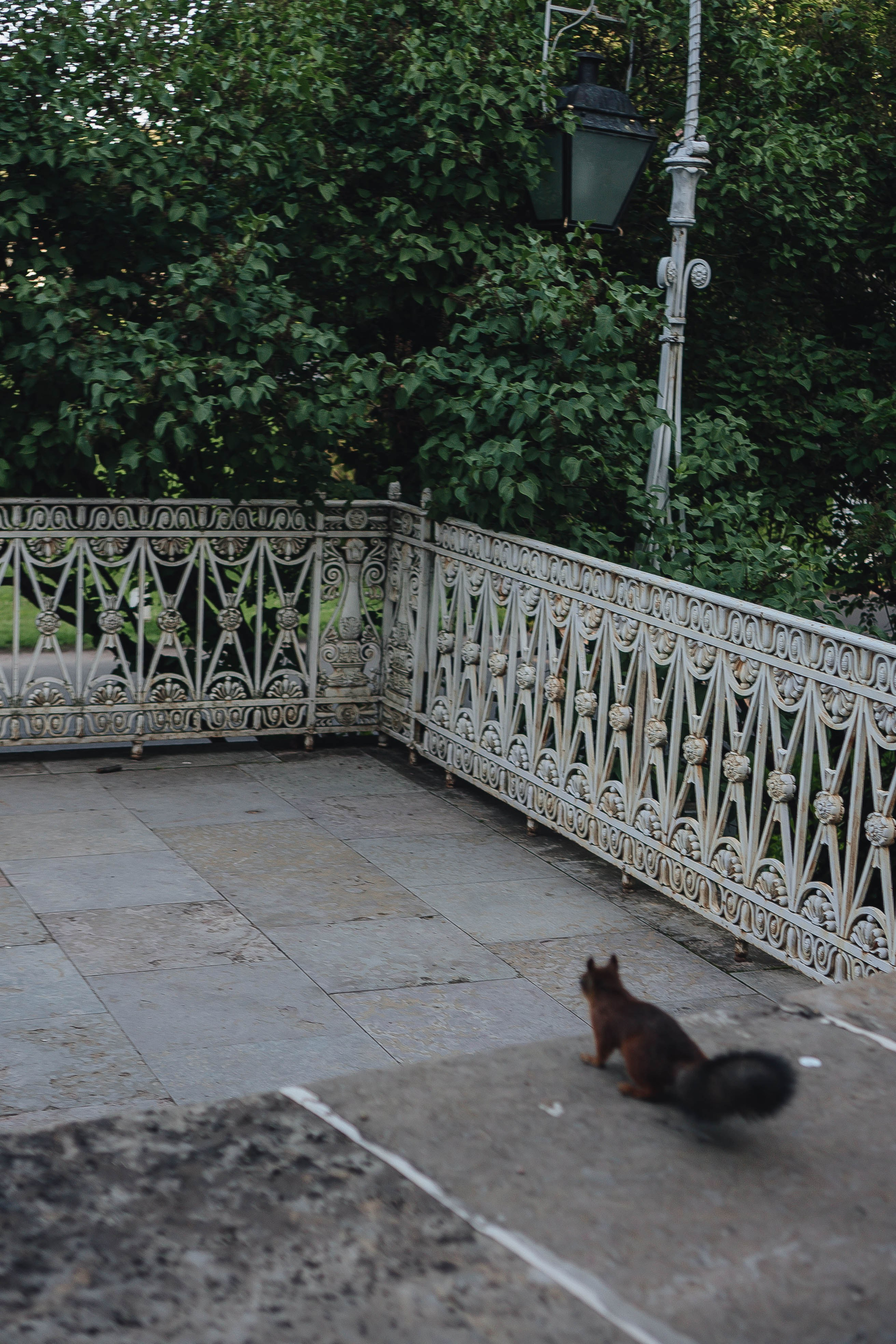 СВАДЕБНАЯ СЬЕМКА НА РАССВЕТЕ НА ЕЛАГИНОМ ОСТОРОВЕ. Профессиональный фотограф, Санкт-Петербург — Виктория Богомолова