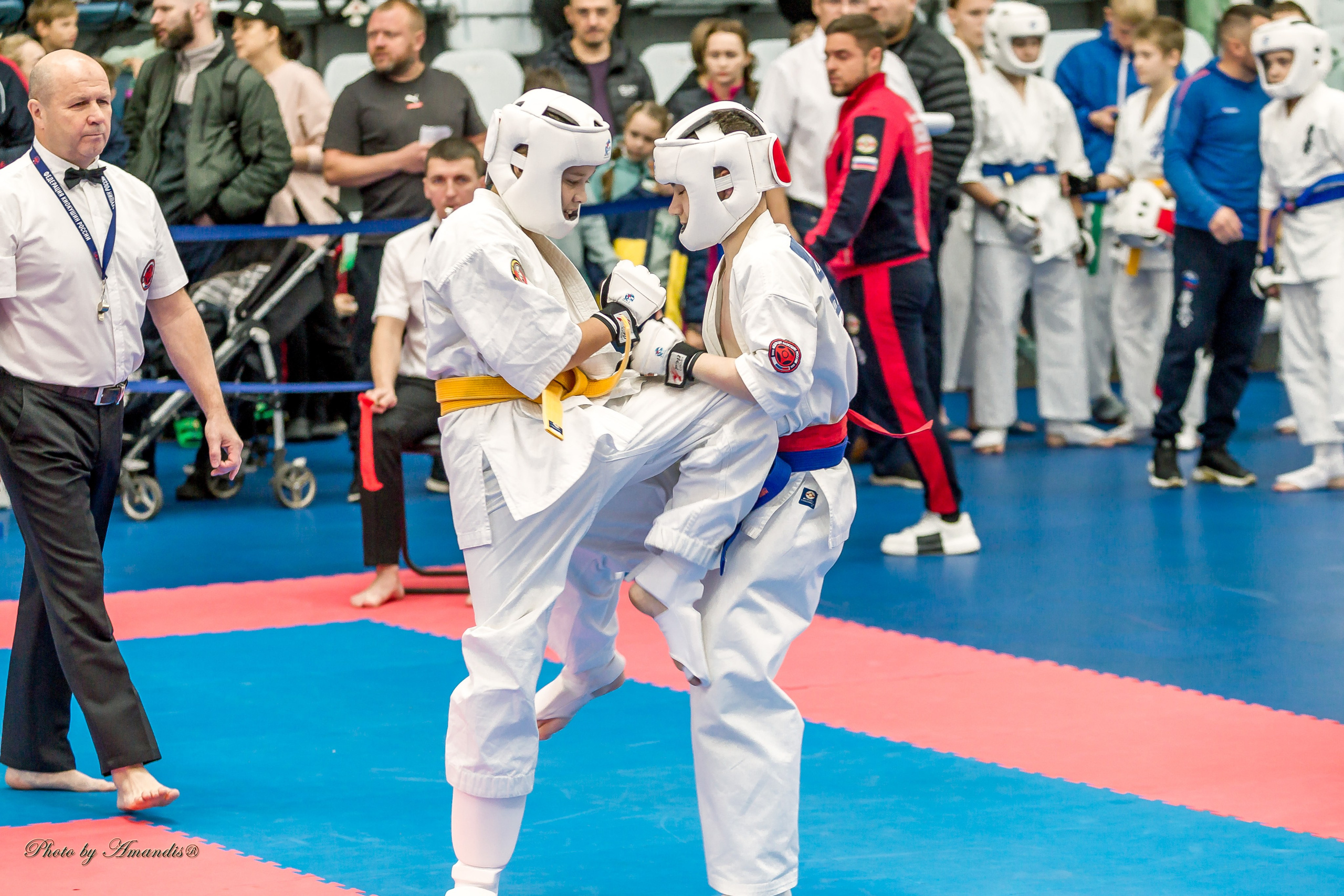 Чемпионат по Киокушинкай Центрального Федерального округа. Репортажная съемка в Москве и области. Анималистика