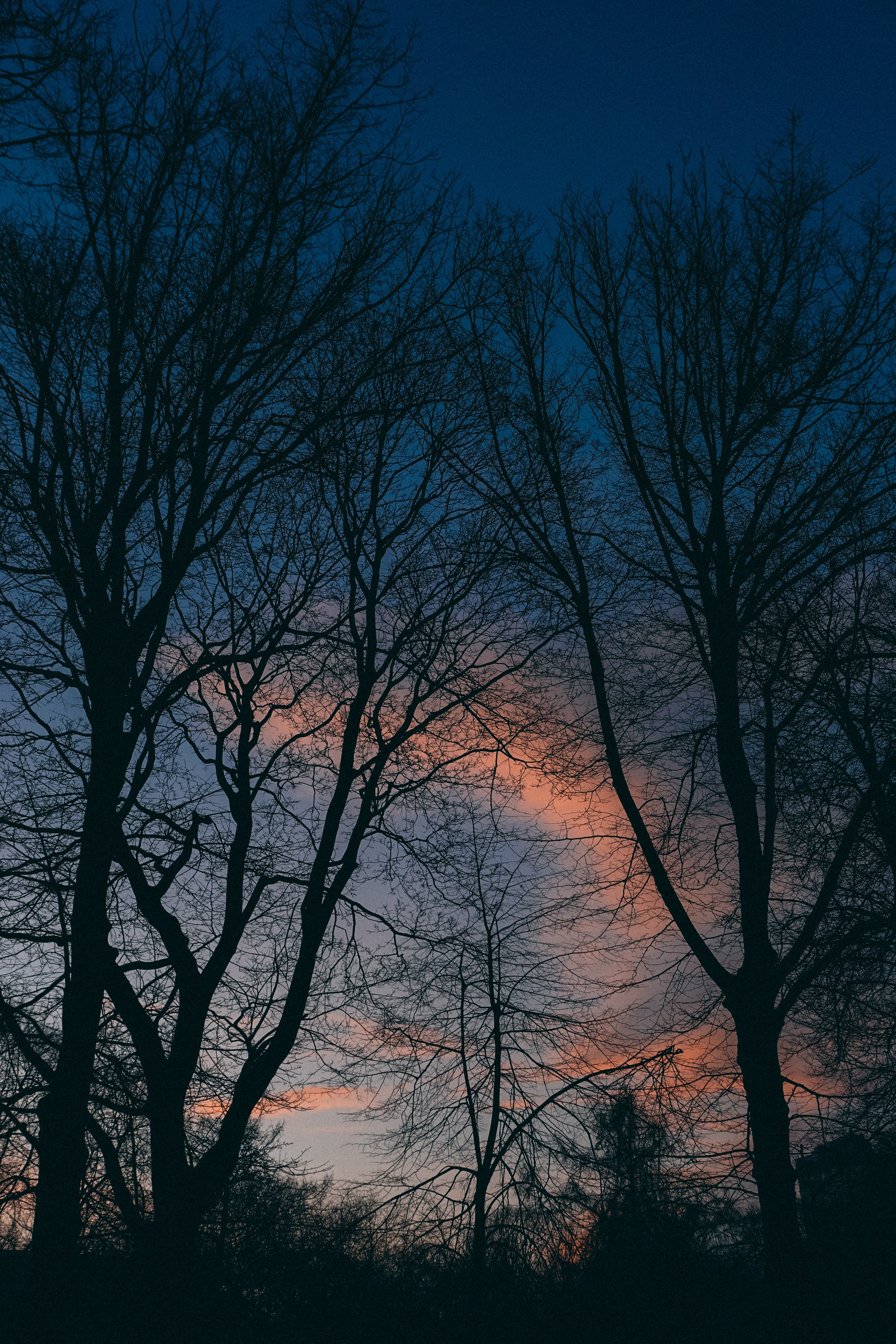 Ботанический сад. Фотограф Алиса Аспер