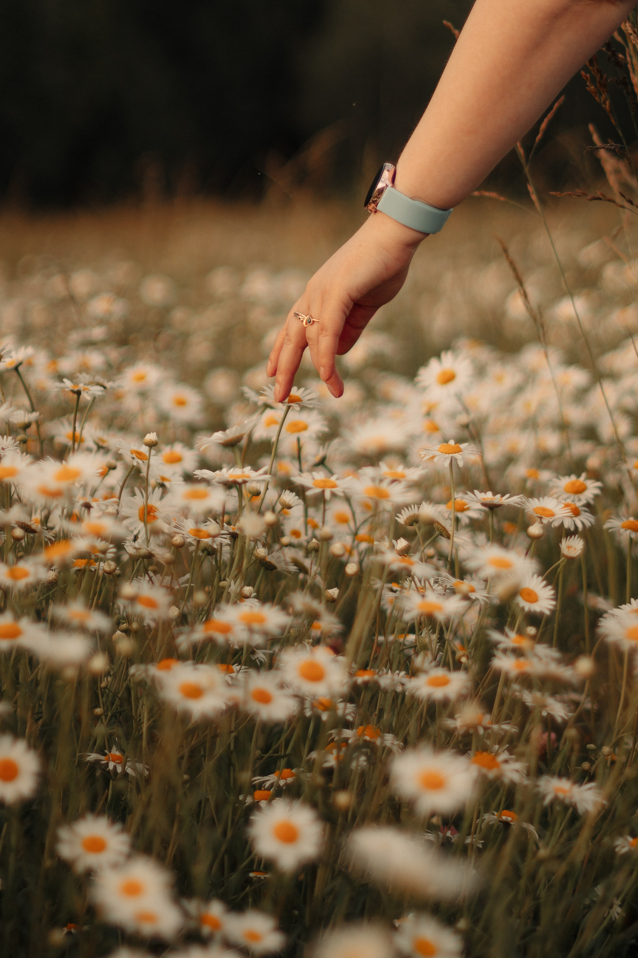 Индивидуальная съемка. Фотограф в Москве и Московской области — Акулина Софья