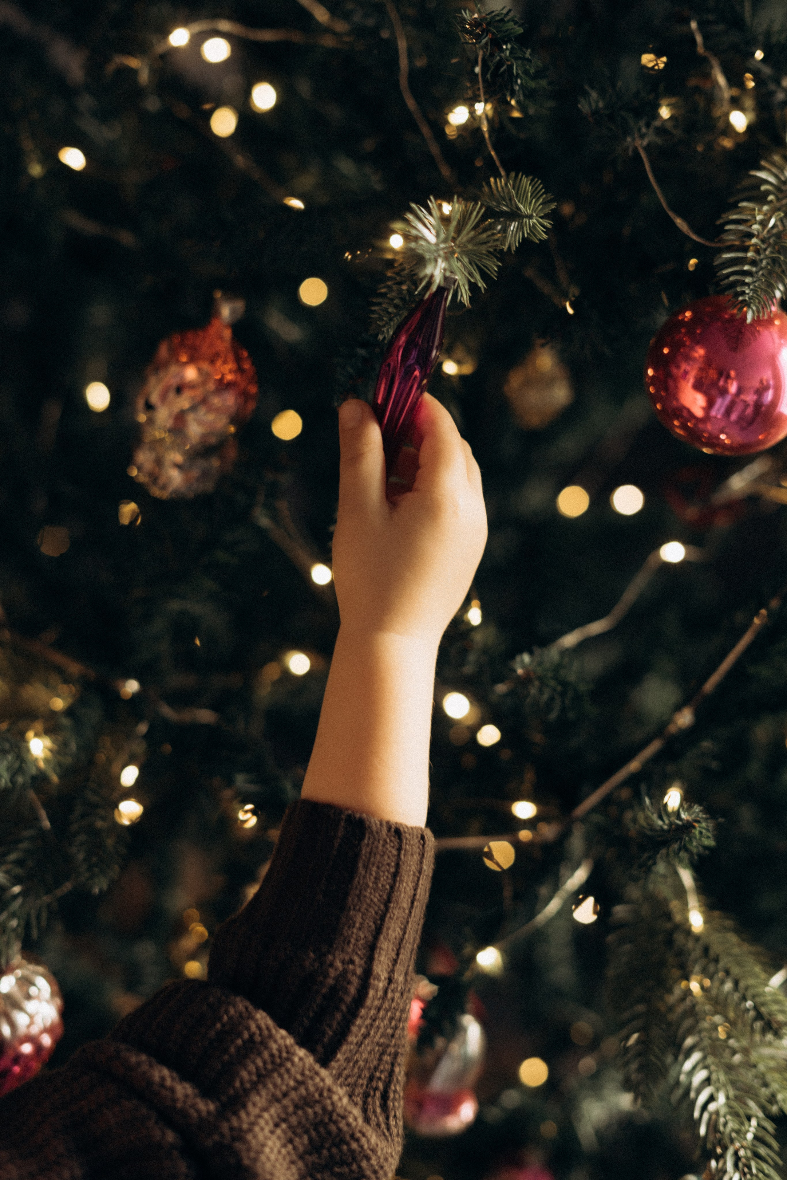 Семейные съемки. Фотограф Новомосковск | Тула