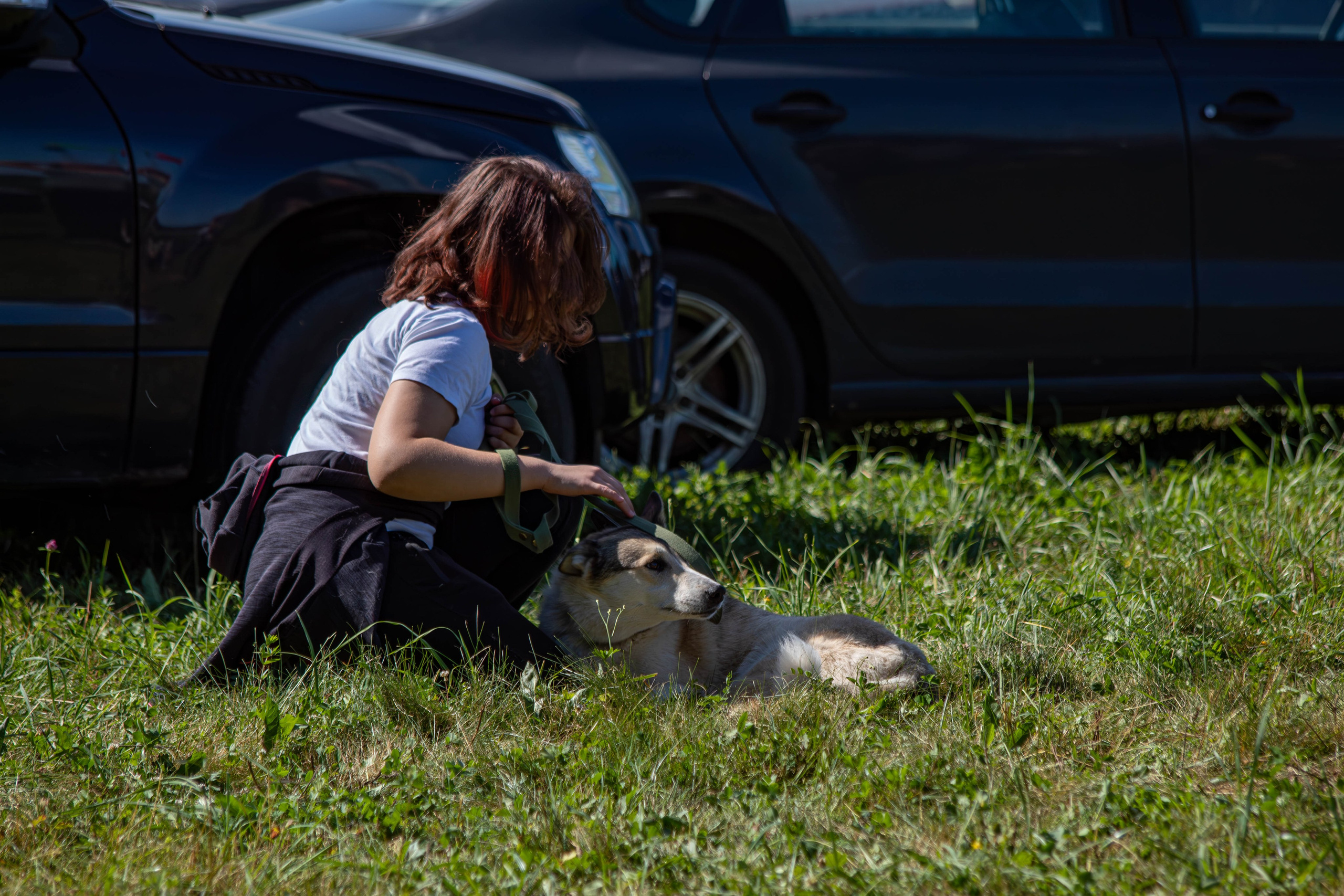 Репортажная съемка в Туле. Фотограф анималист — Тула, Москва