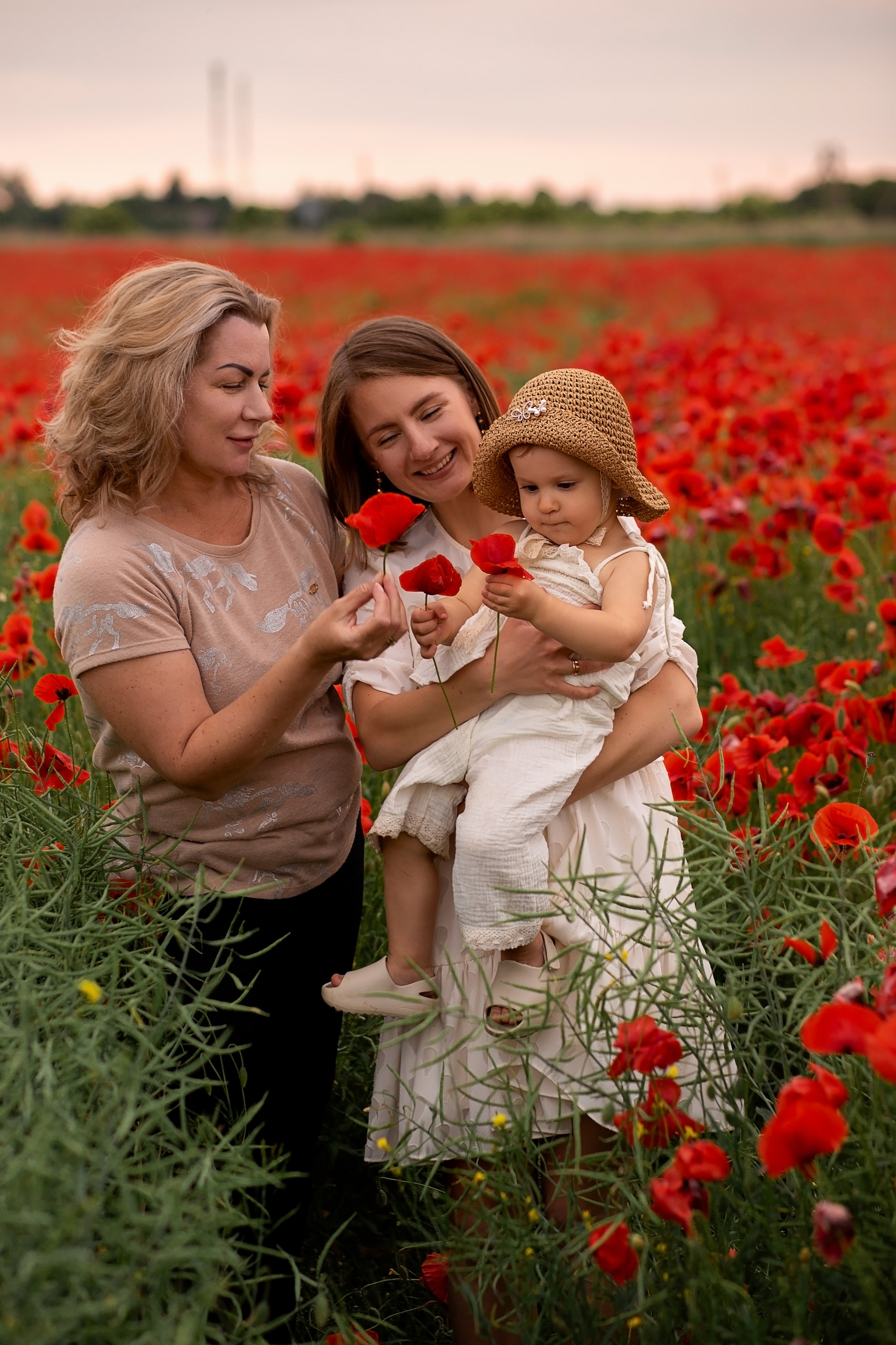 Маковое поле. Главная