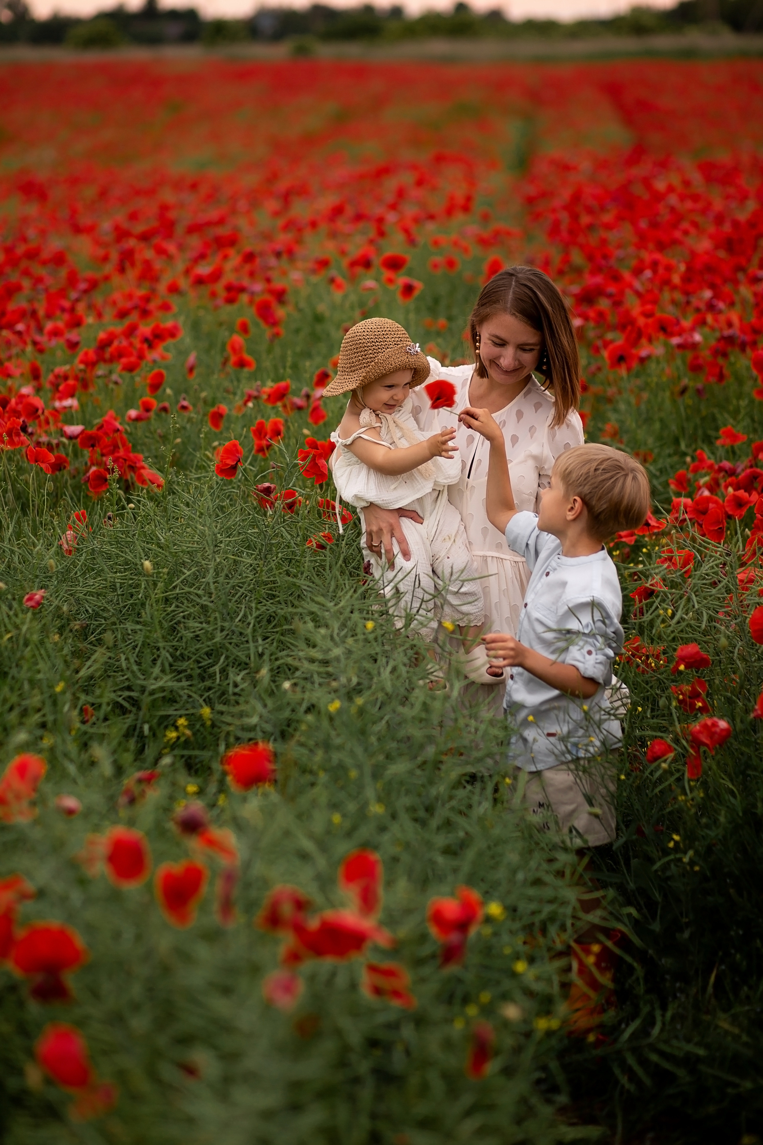 Маковое поле. Главная