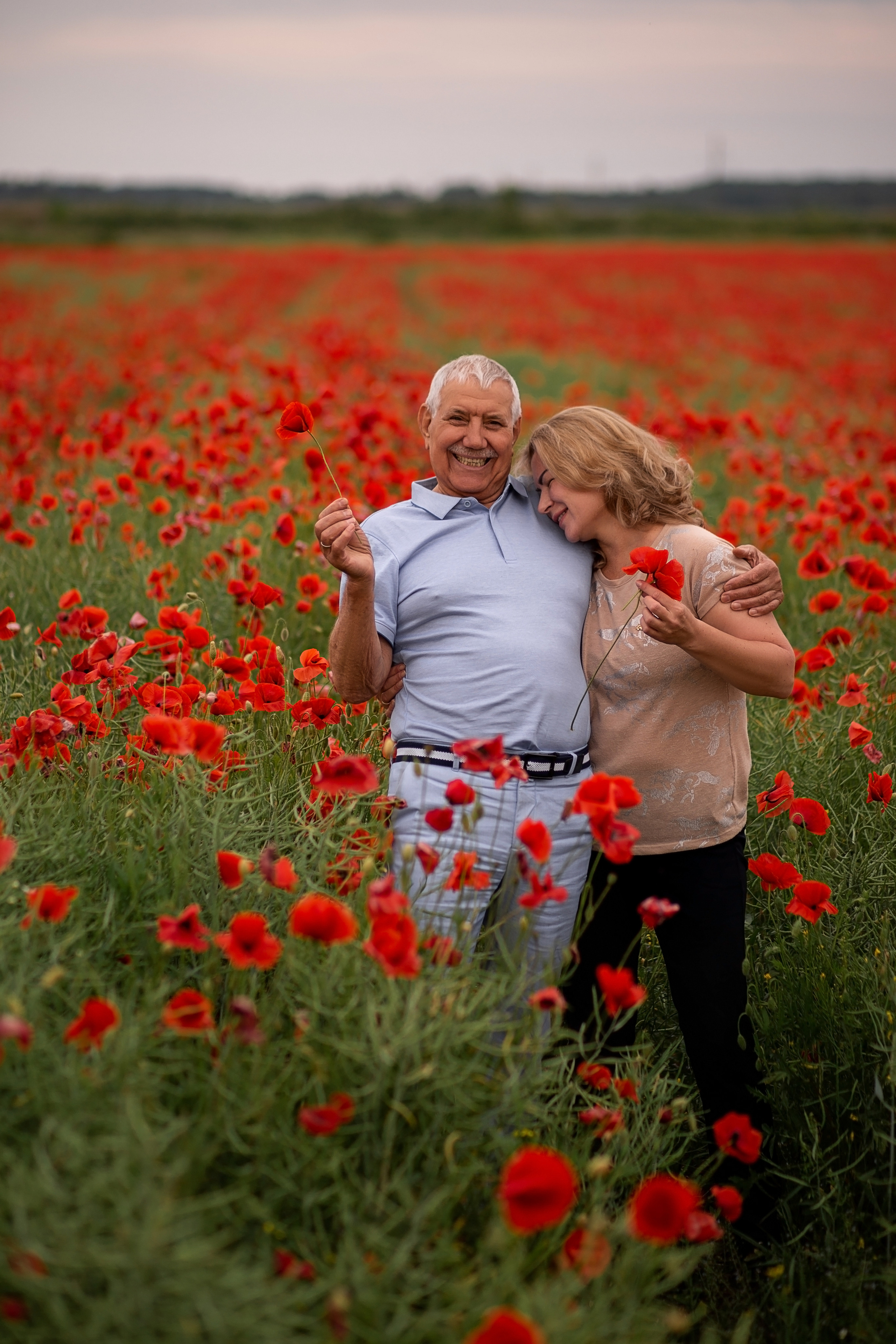 Маковое поле. Главная