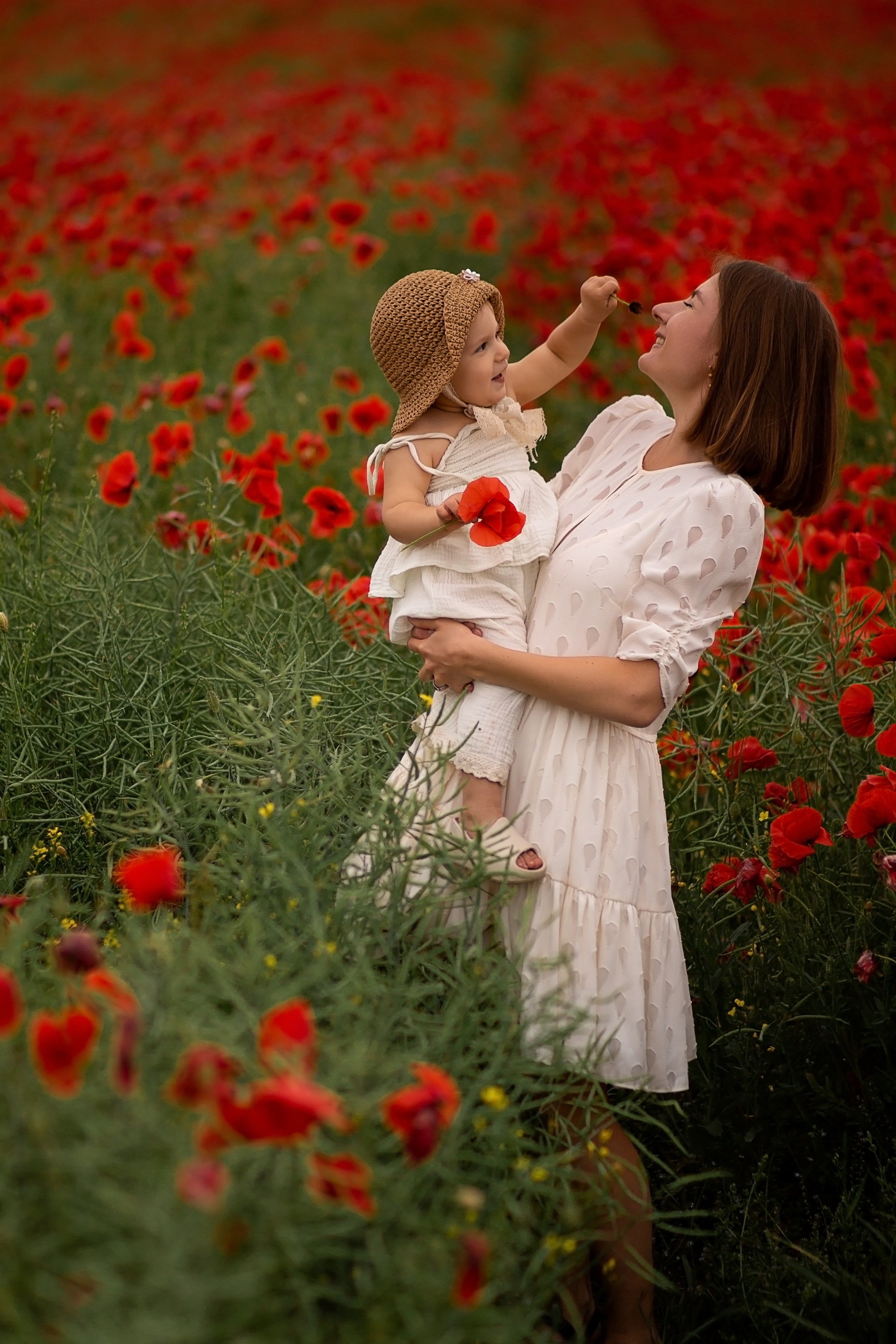 Маковое поле. Главная