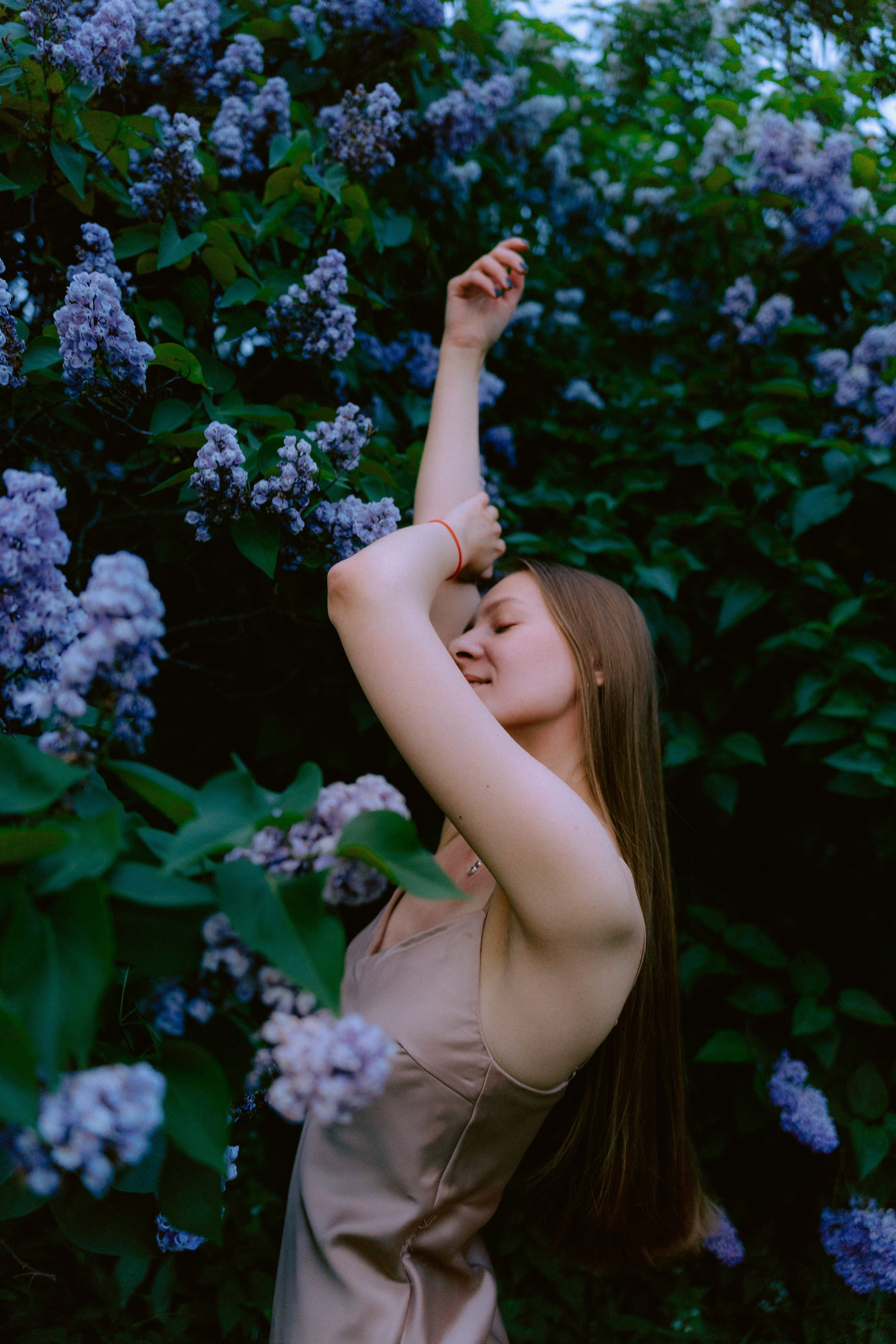 Сиреневый сад. Фотограф Москва