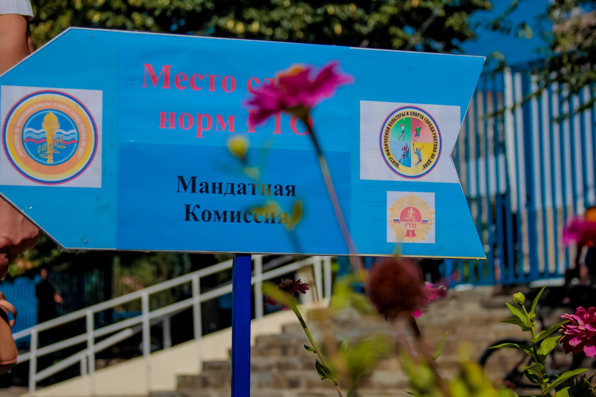 День Физкульт. Максим Матвийченко и Виктория Басова профессионалы своего дела