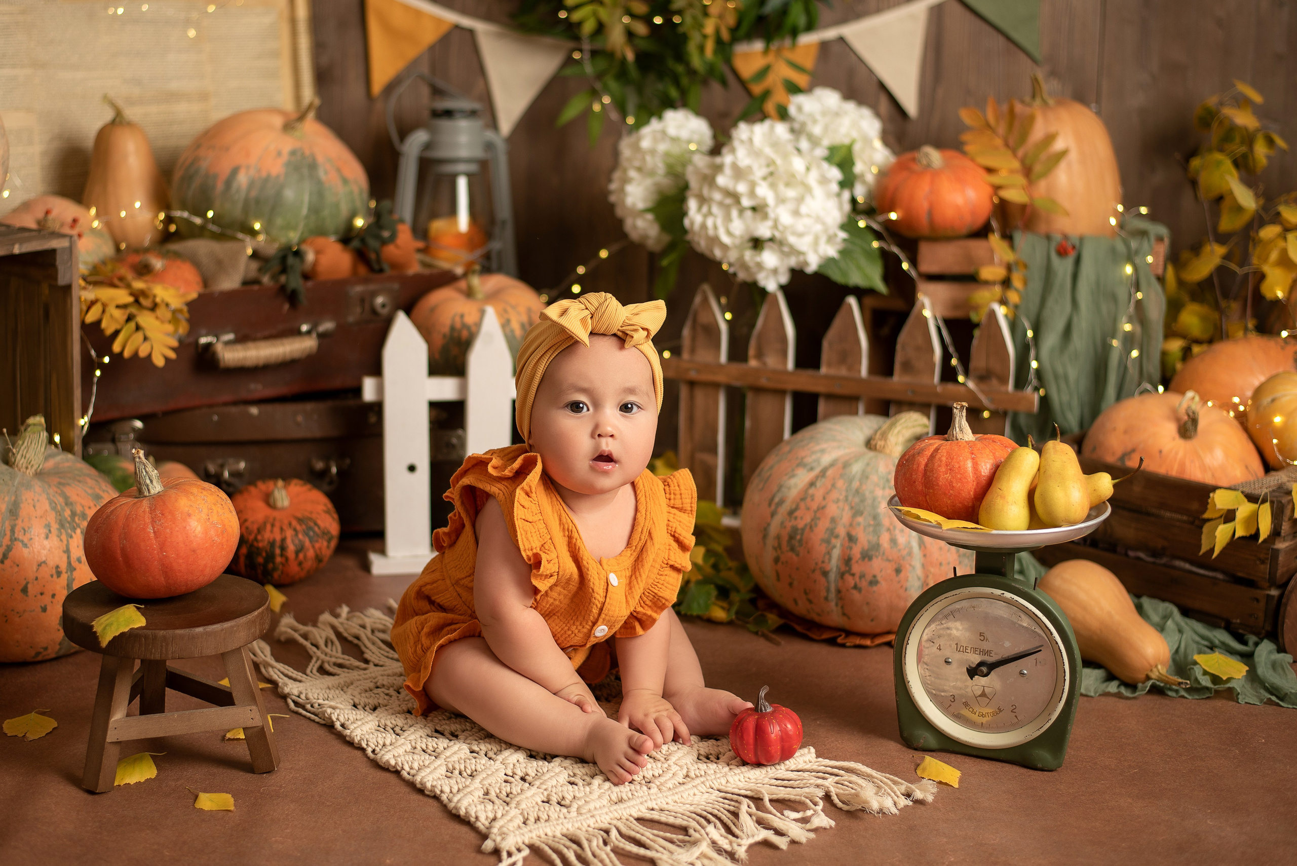 Евочка- ФП «Оранжевые Тыковки». Семейный и детский фотограф Наталья Горда