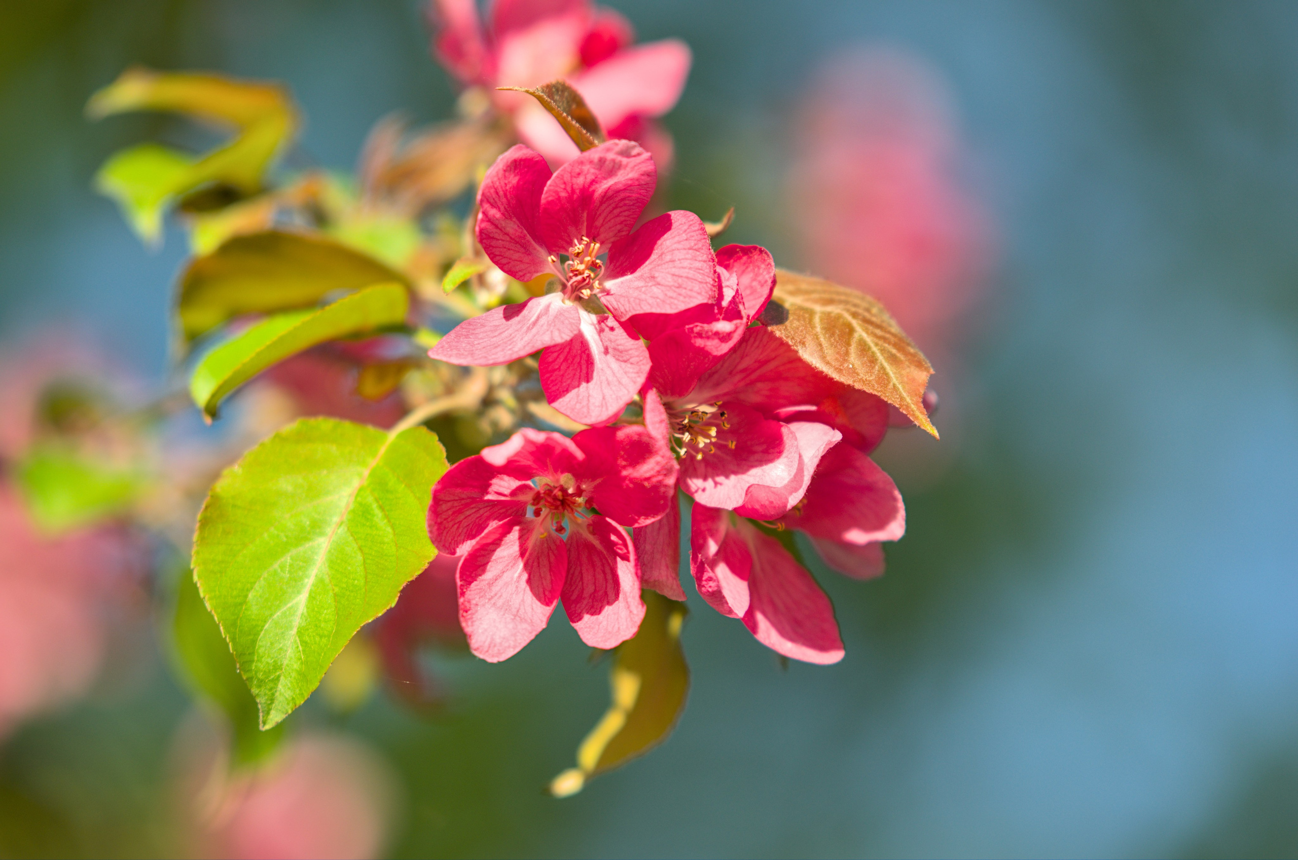 Природа. Фото детских спортивных мероприятий и всякое интересное через объектив