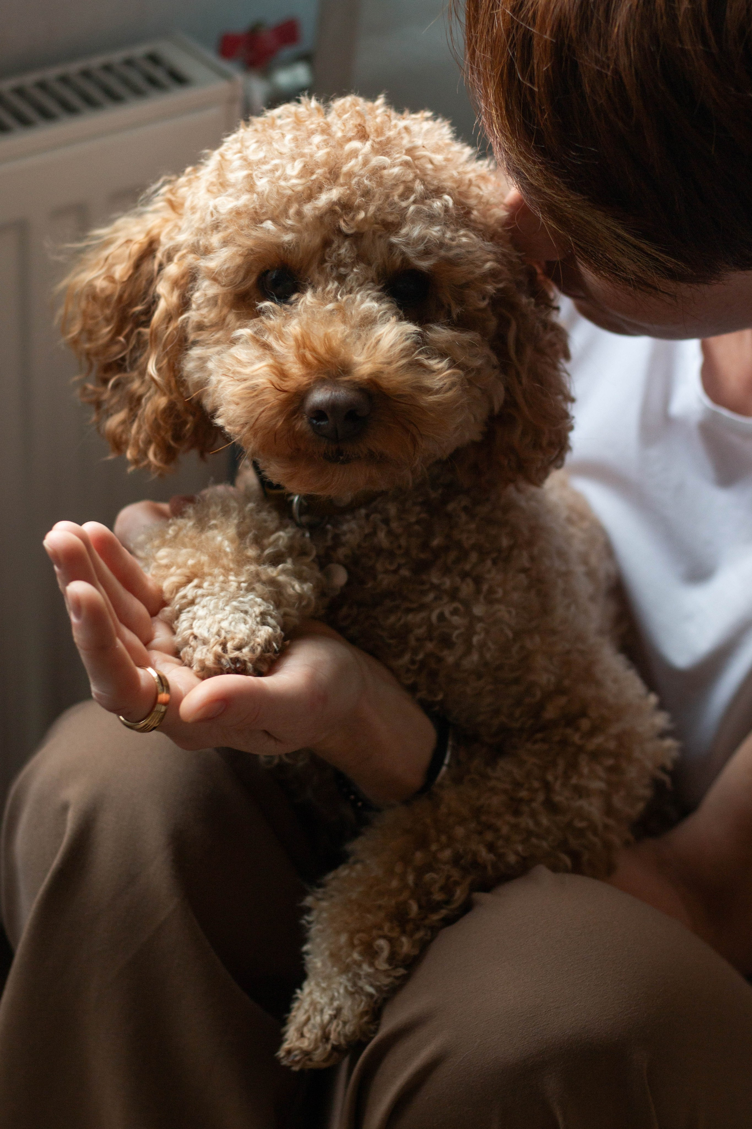 Olga & Eric. Бережно сохраняю ваши чувства и истории на своих фотографиях