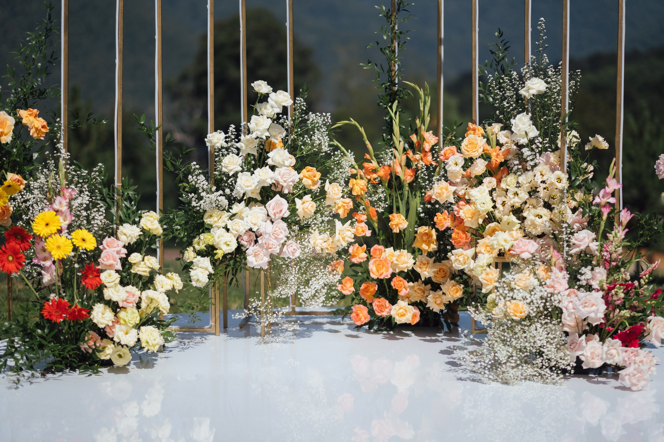 Змея и Мышь. Свадебный Видеограф Фотограф в Сочи