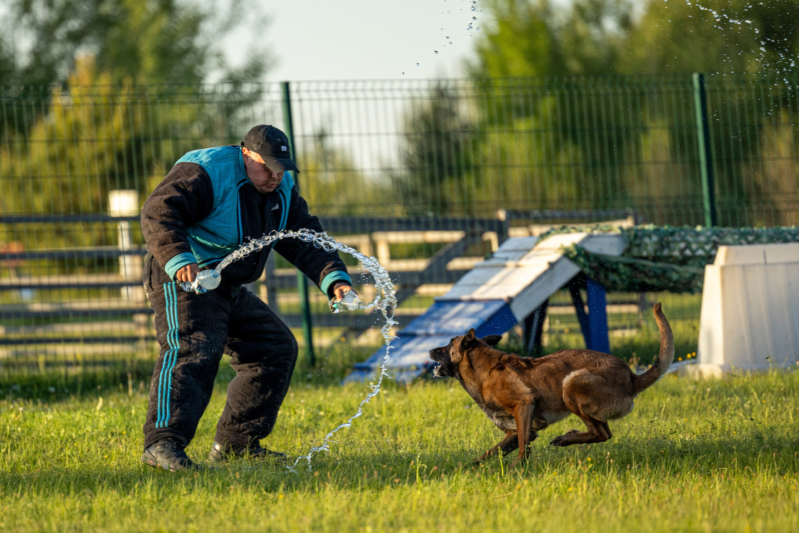Испытания по мондьорингу в Нижнем Новгороде. Фотограф-анималист Анна Маринич