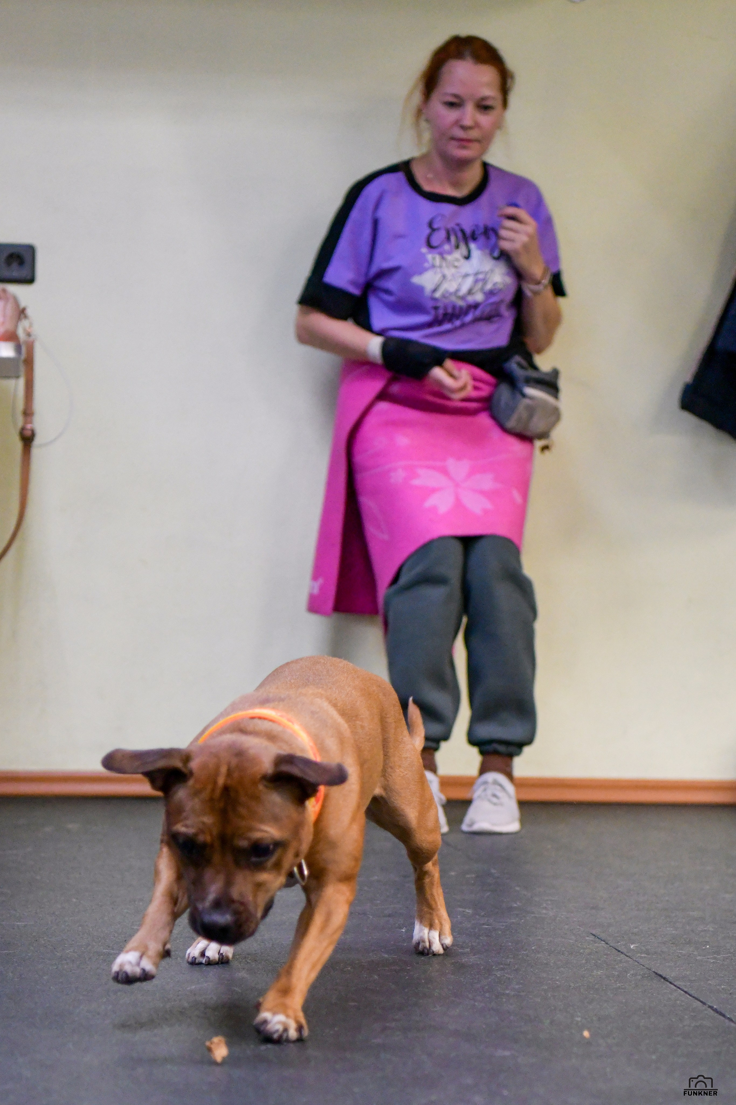 Кинологический клуб «Бодрый хвост». Свой взгляд через объектив