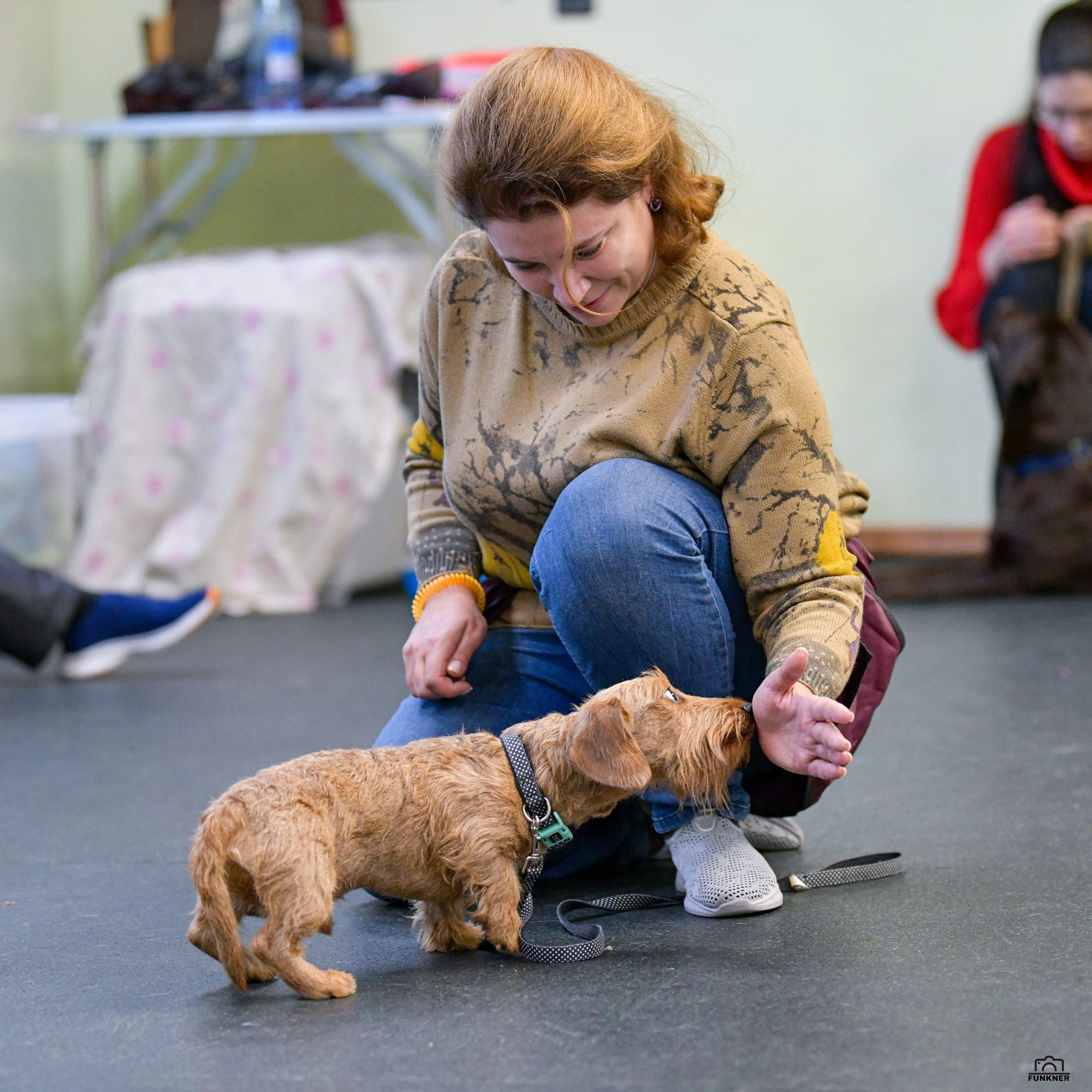 Кинологический клуб «Бодрый хвост». Свой взгляд через объектив