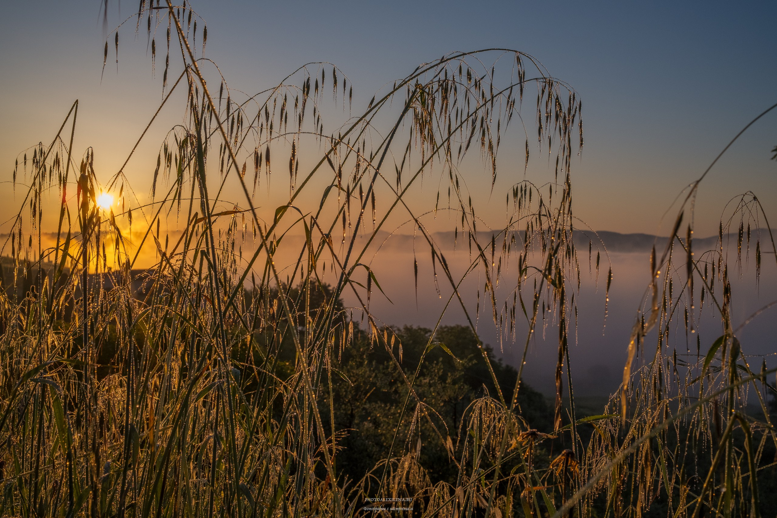 Великолепная Тоскана. Авторские стильные фотокартины