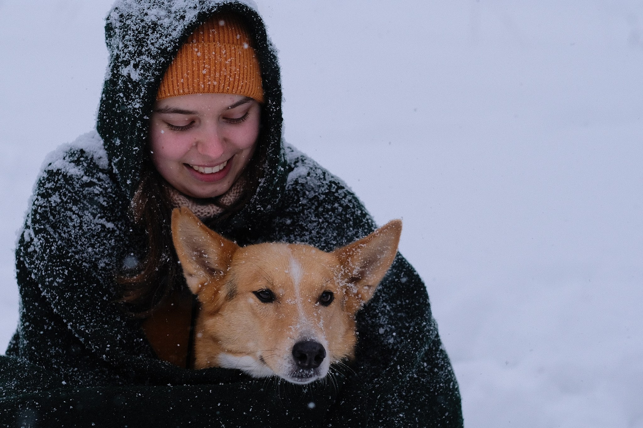 Герда, Лиса и их люди. Дмитрий Бречалов