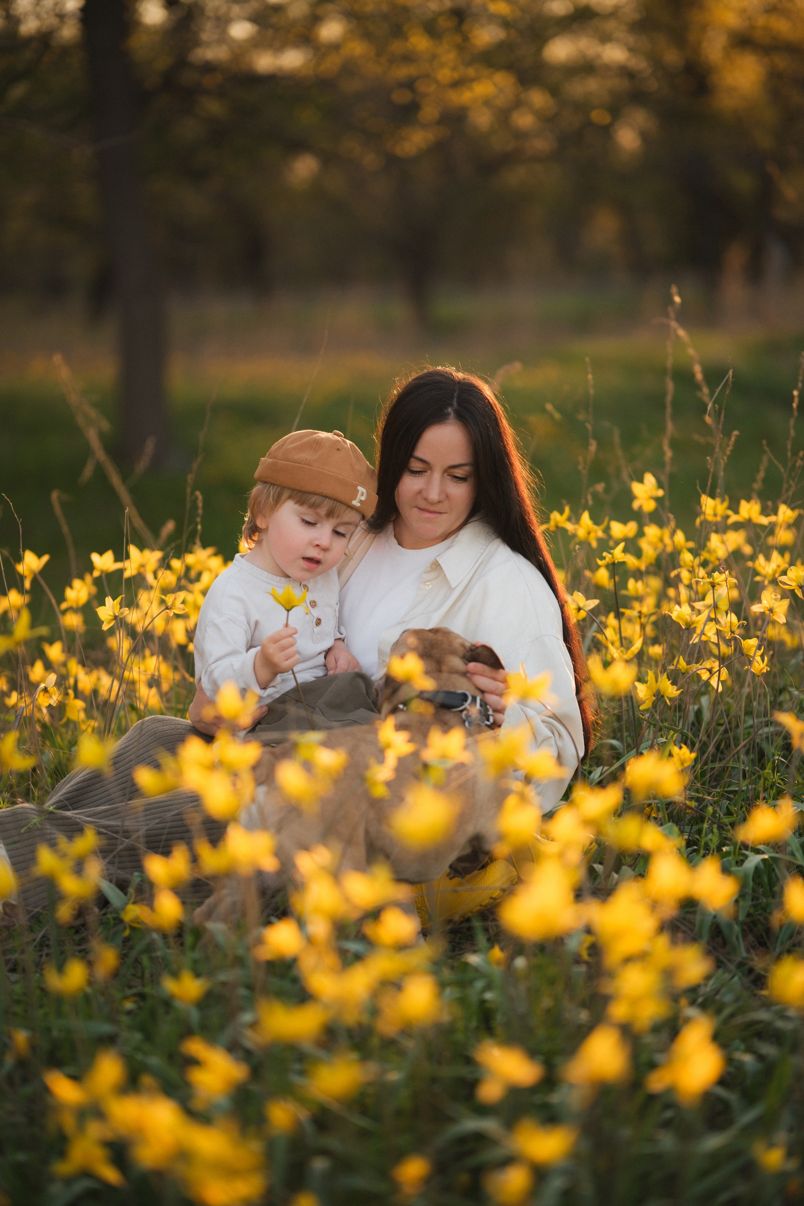 Катя, Глеб и Буч. Свадебный и семейный фотограф в Волгограде