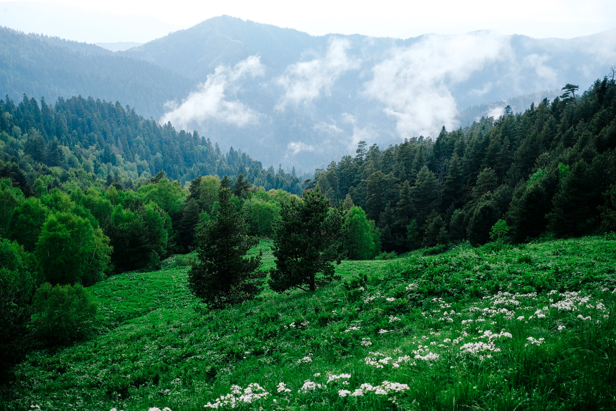 Адыгея. Фотограф Дмитрий Олрайт | Калуга, Россия